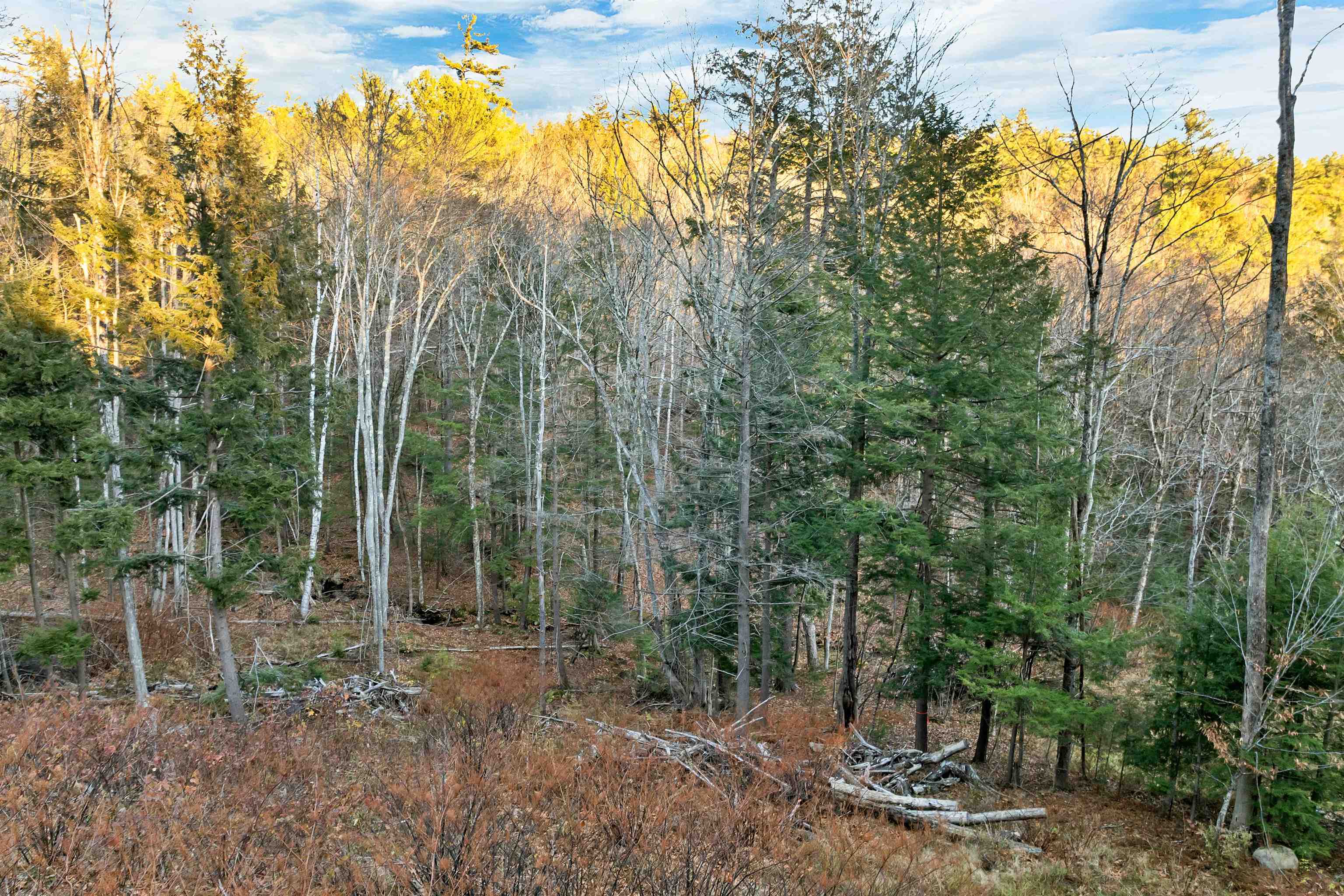 MLS #5070307 image #9