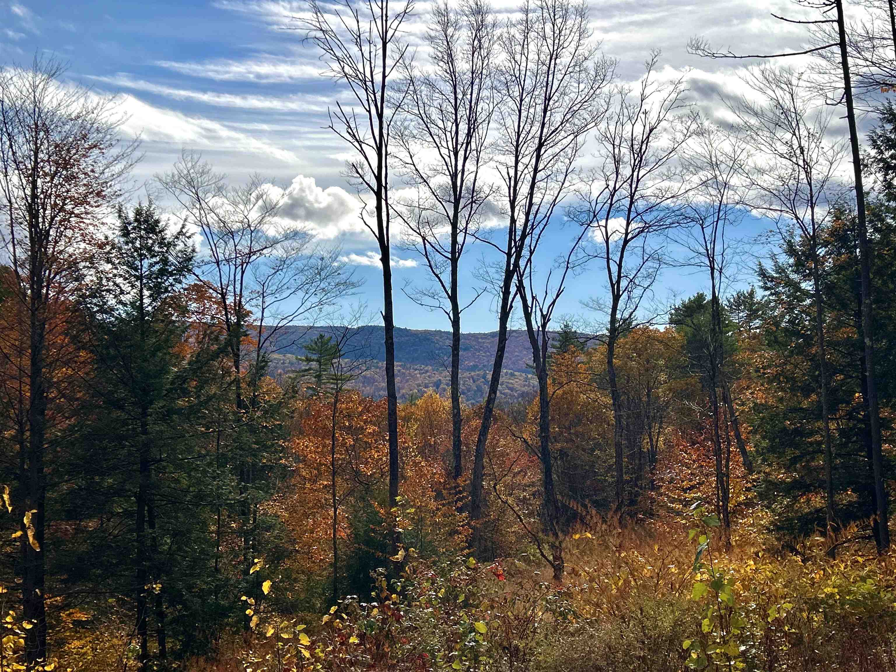 MLS #5070307 image #2