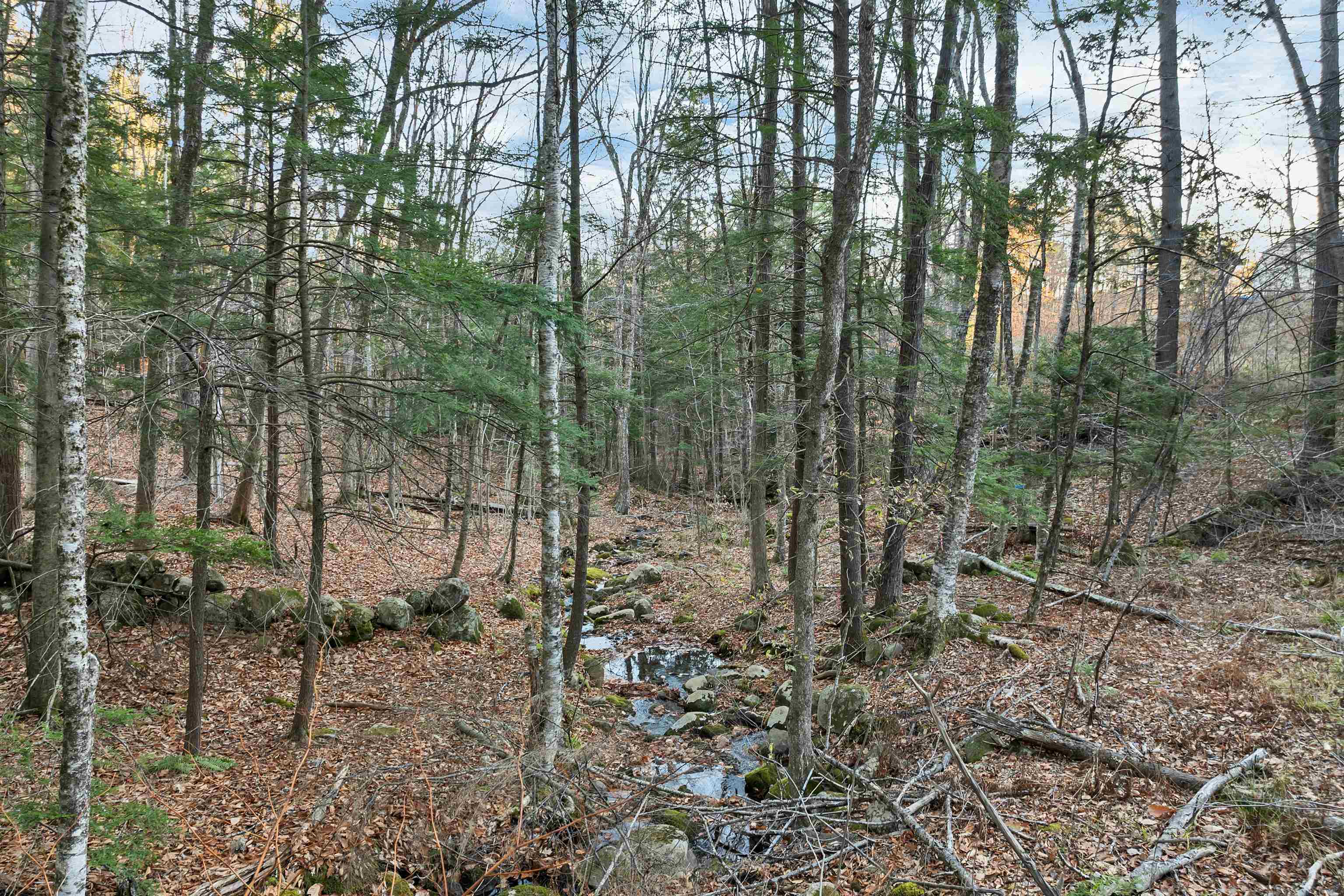 MLS #5070307 image #11