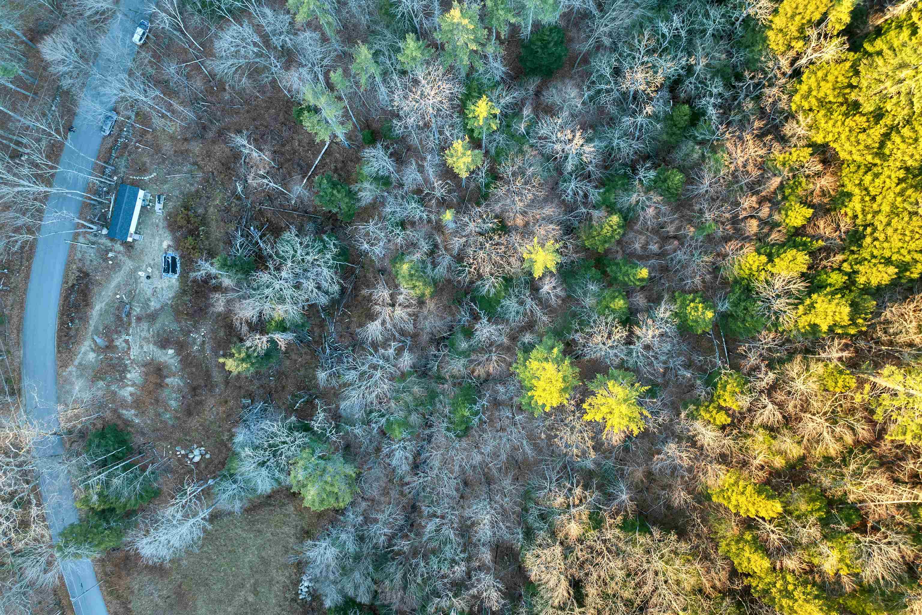 MLS #5070307 image #13