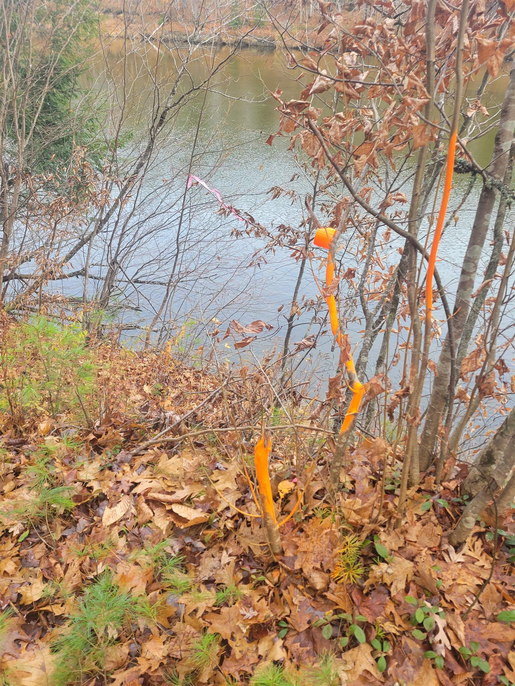 MLS #5070373 image #10