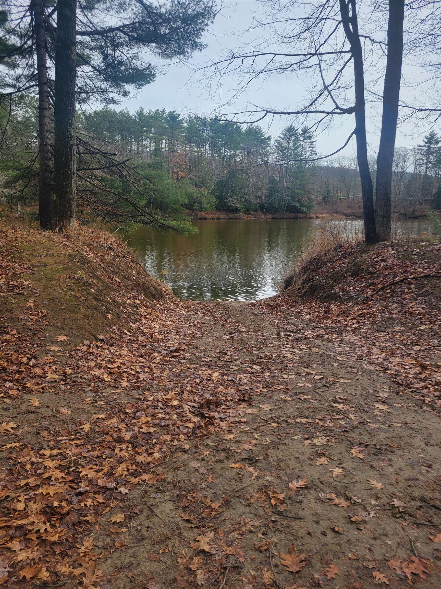 MLS #5070373 image #7