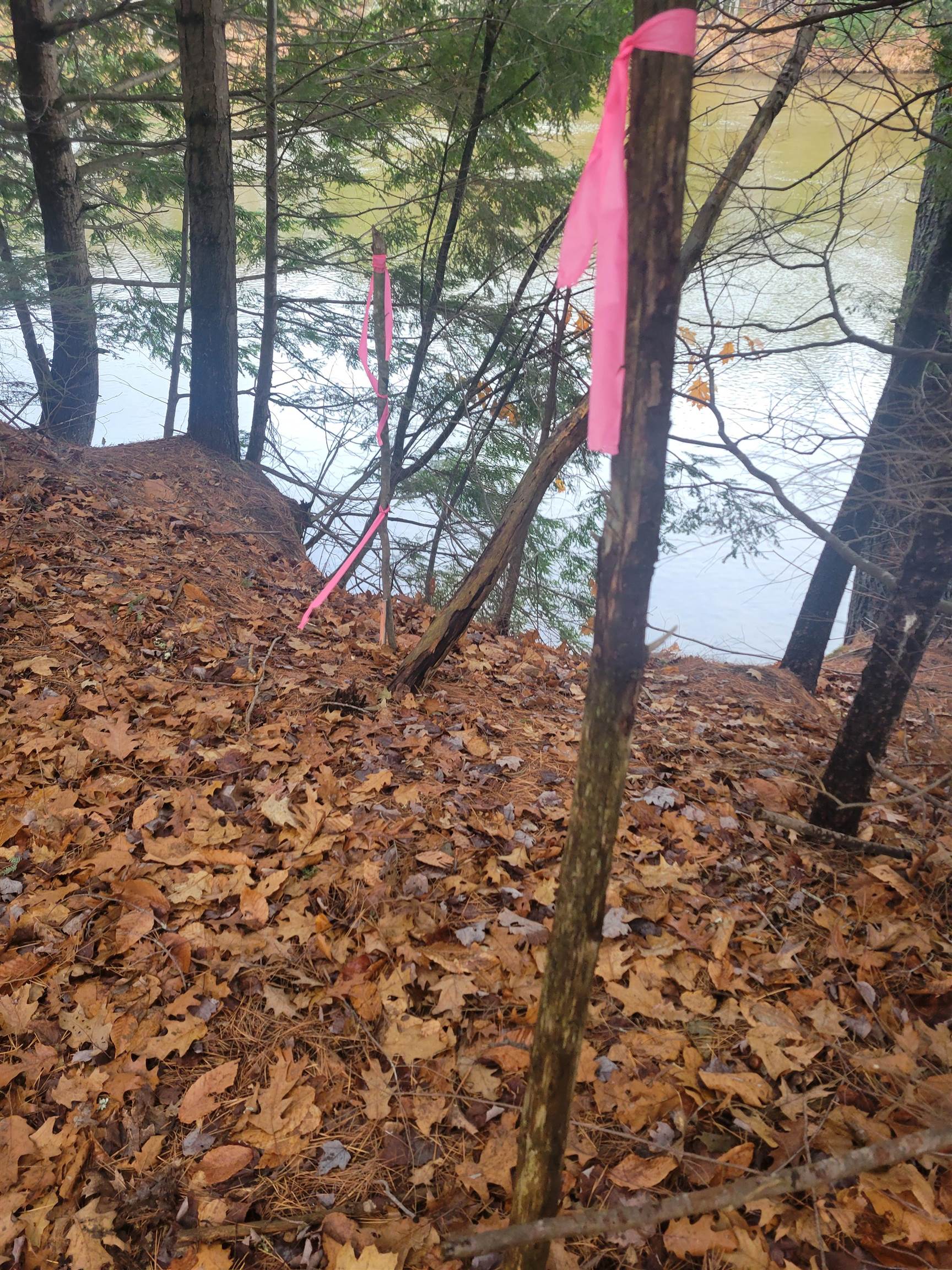 MLS #5070373 image #9