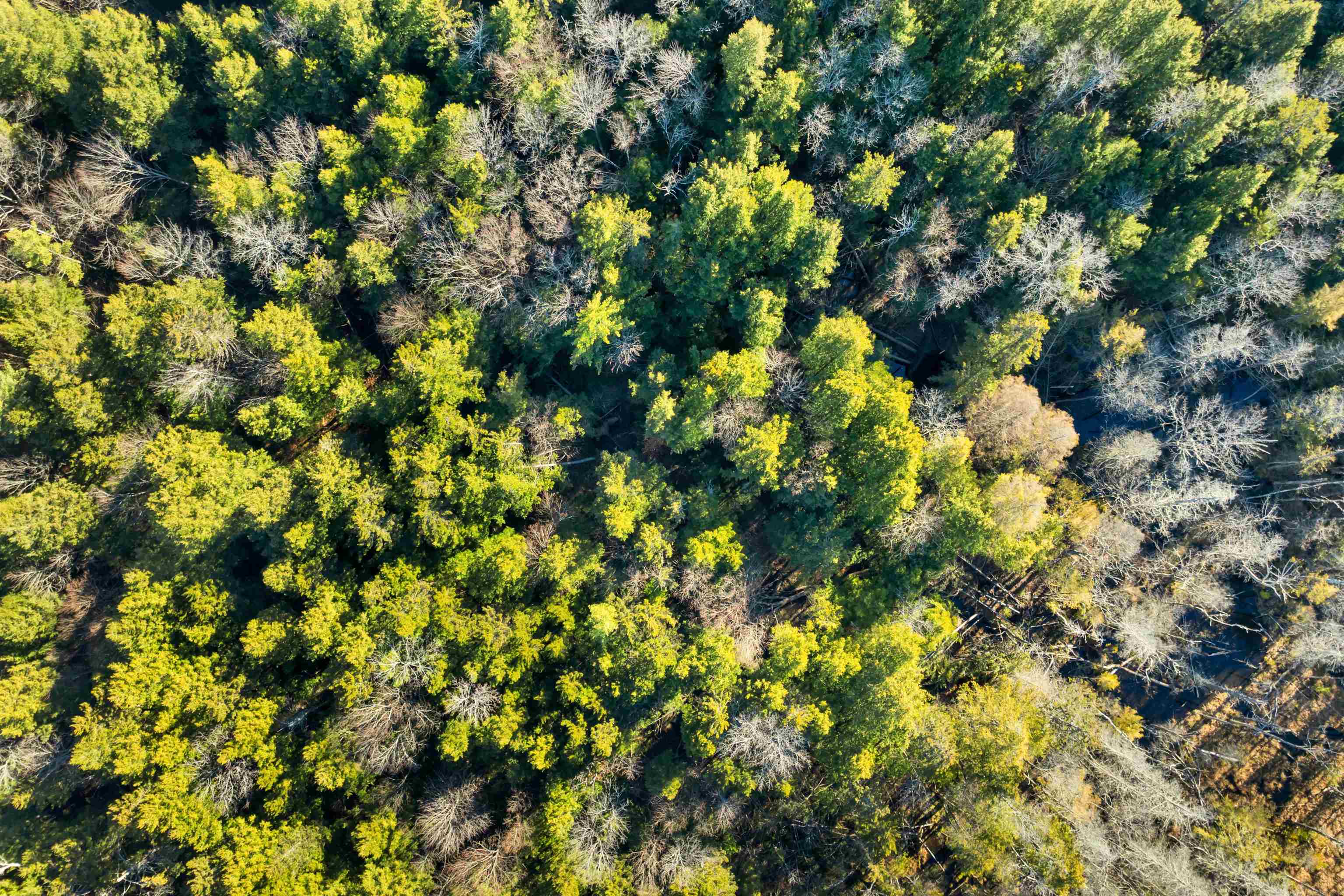 MLS #5070490 image #5