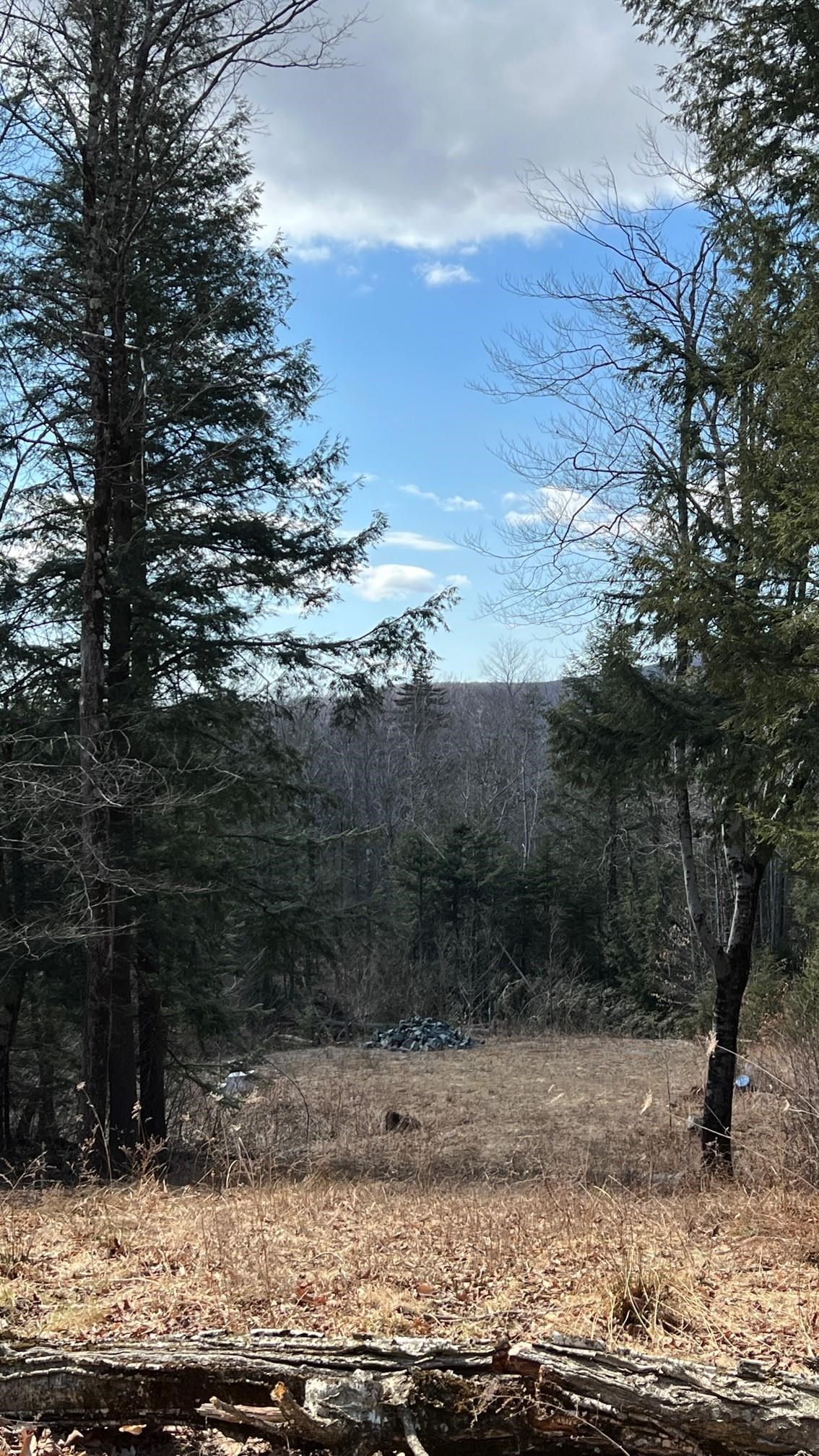 Homes for sale in Whitingham, VT | 1153 Faulkner Rd, Whitingham, VT 05361 | MLS# 5070504