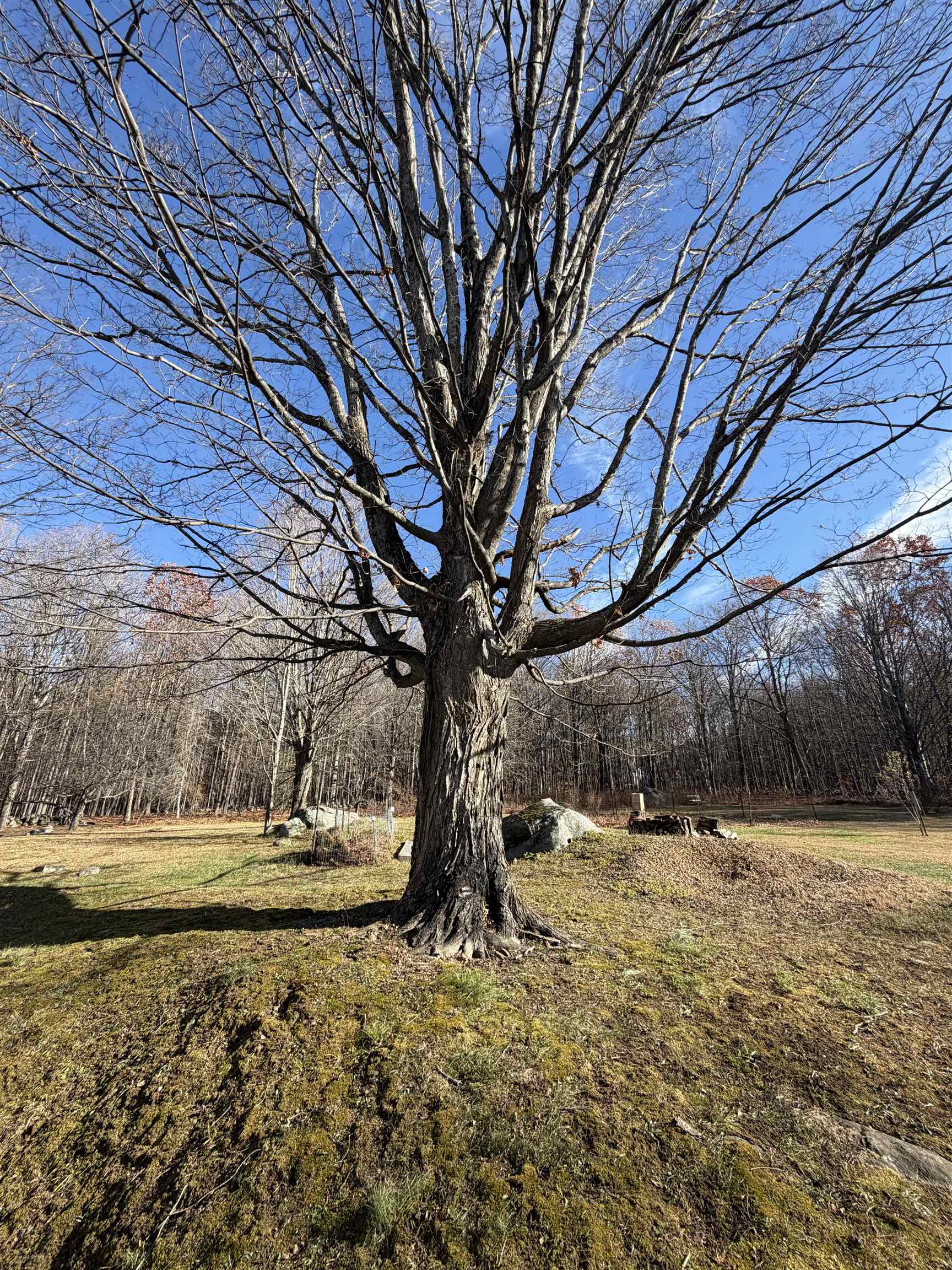 MLS #5070517 image #1