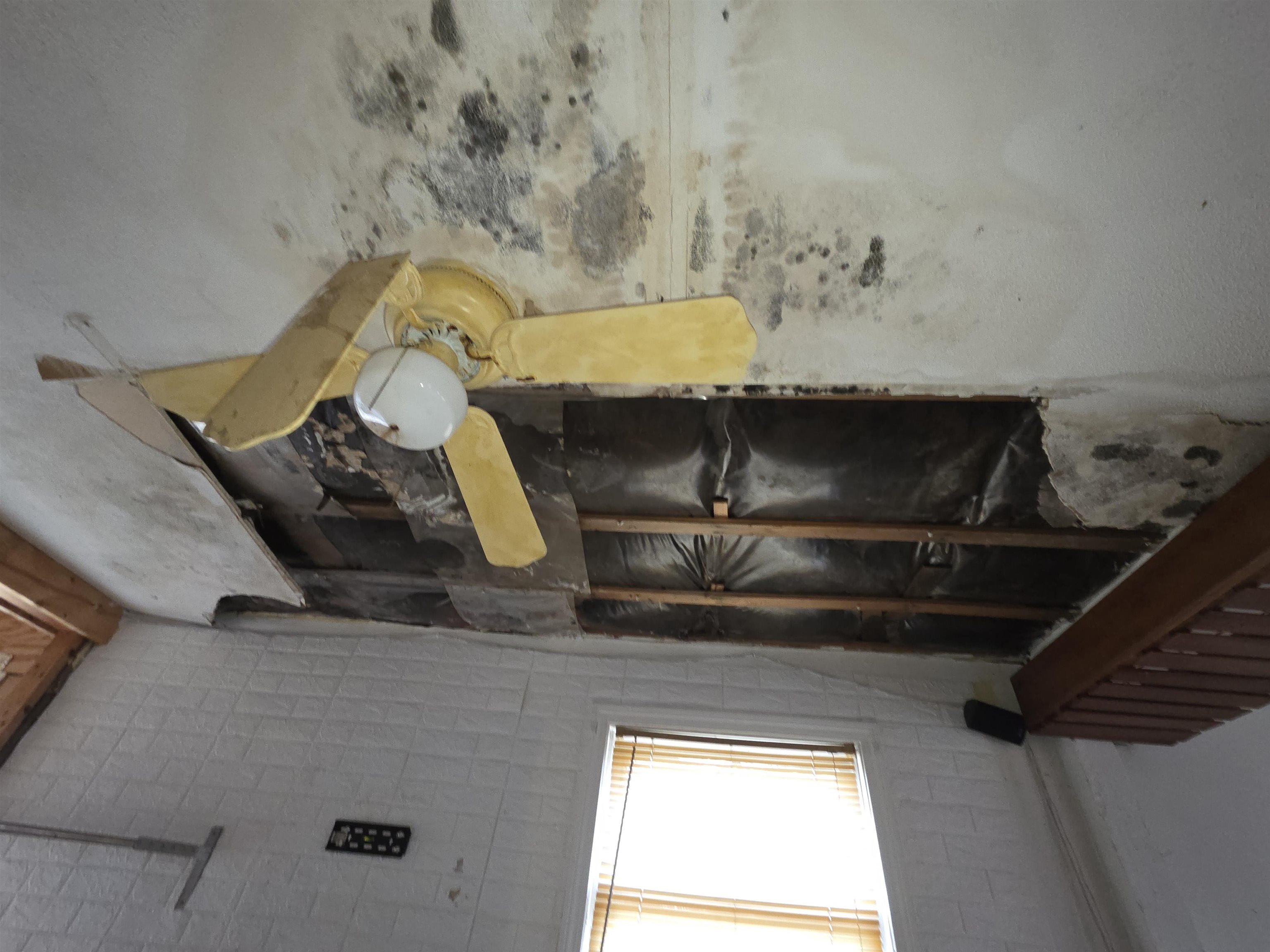 MLS #5070535 image #9