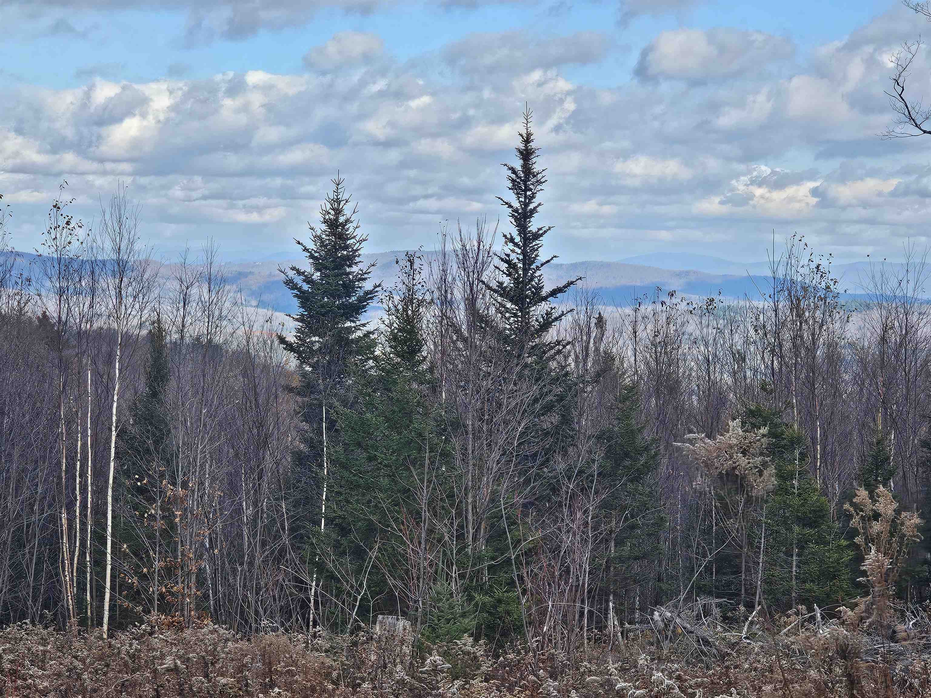 Homes for sale in Stratton, VT | 706 Vt Route 100, Stratton, VT 05360 | MLS# 5070588