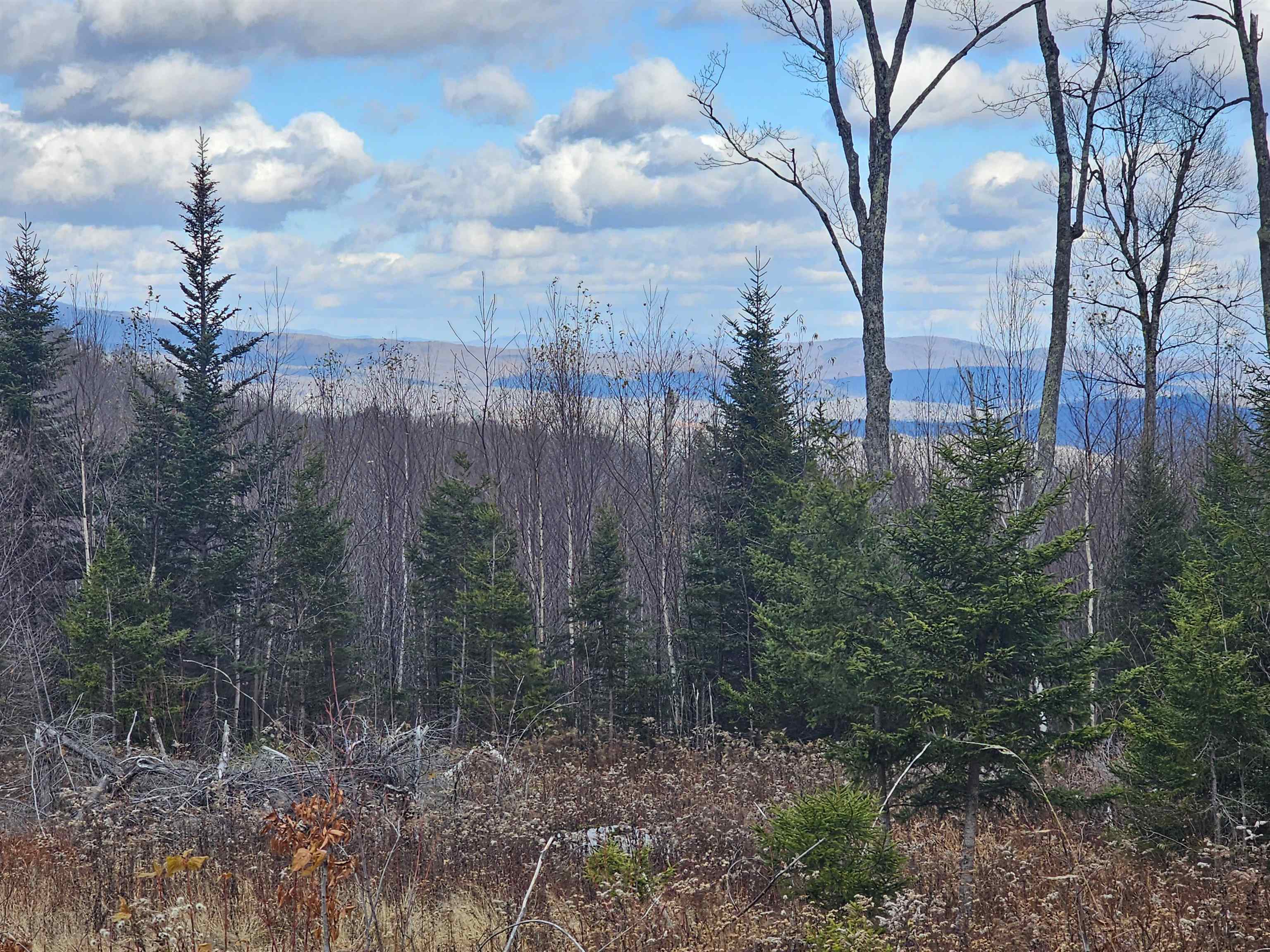 Homes for sale in Stratton, VT | 706 Vt Route 100, Stratton, VT 05360 | MLS# 5070588