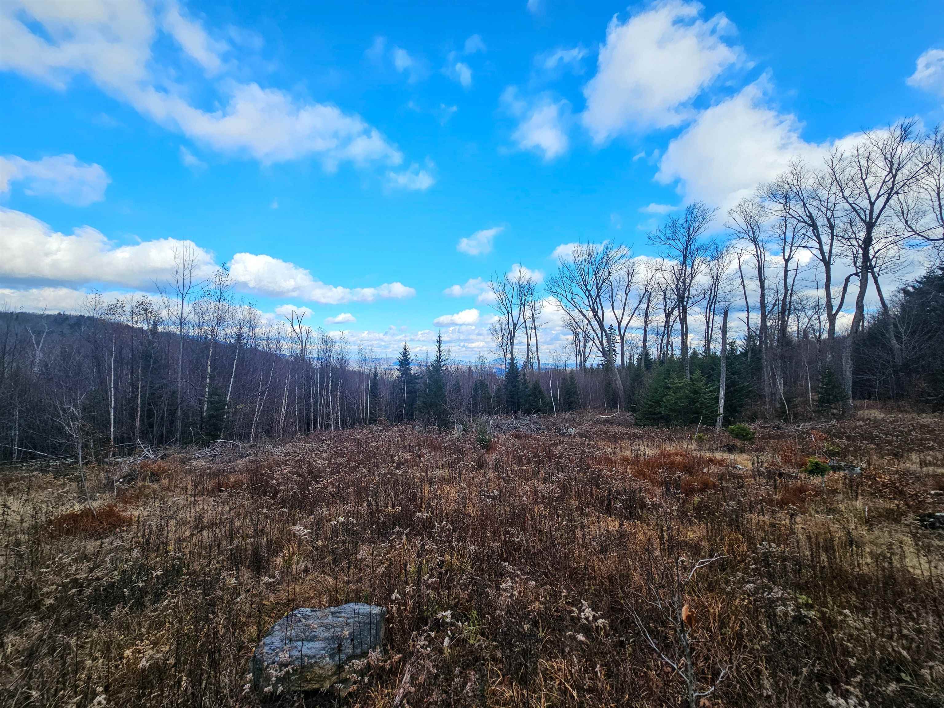 Homes for sale in Stratton, VT | 706 Vt Route 100, Stratton, VT 05360 | MLS# 5070588