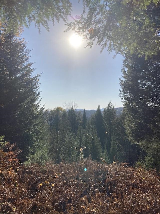 Homes for sale in Montpelier, VT | Lot B2 Gould Hill Rd, Montpelier, VT 05602 | MLS# 5070642