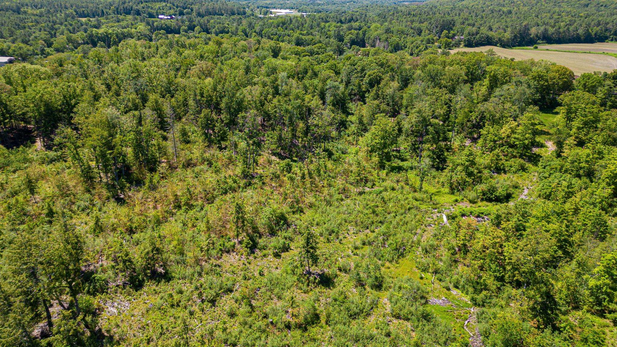   Click for more details  