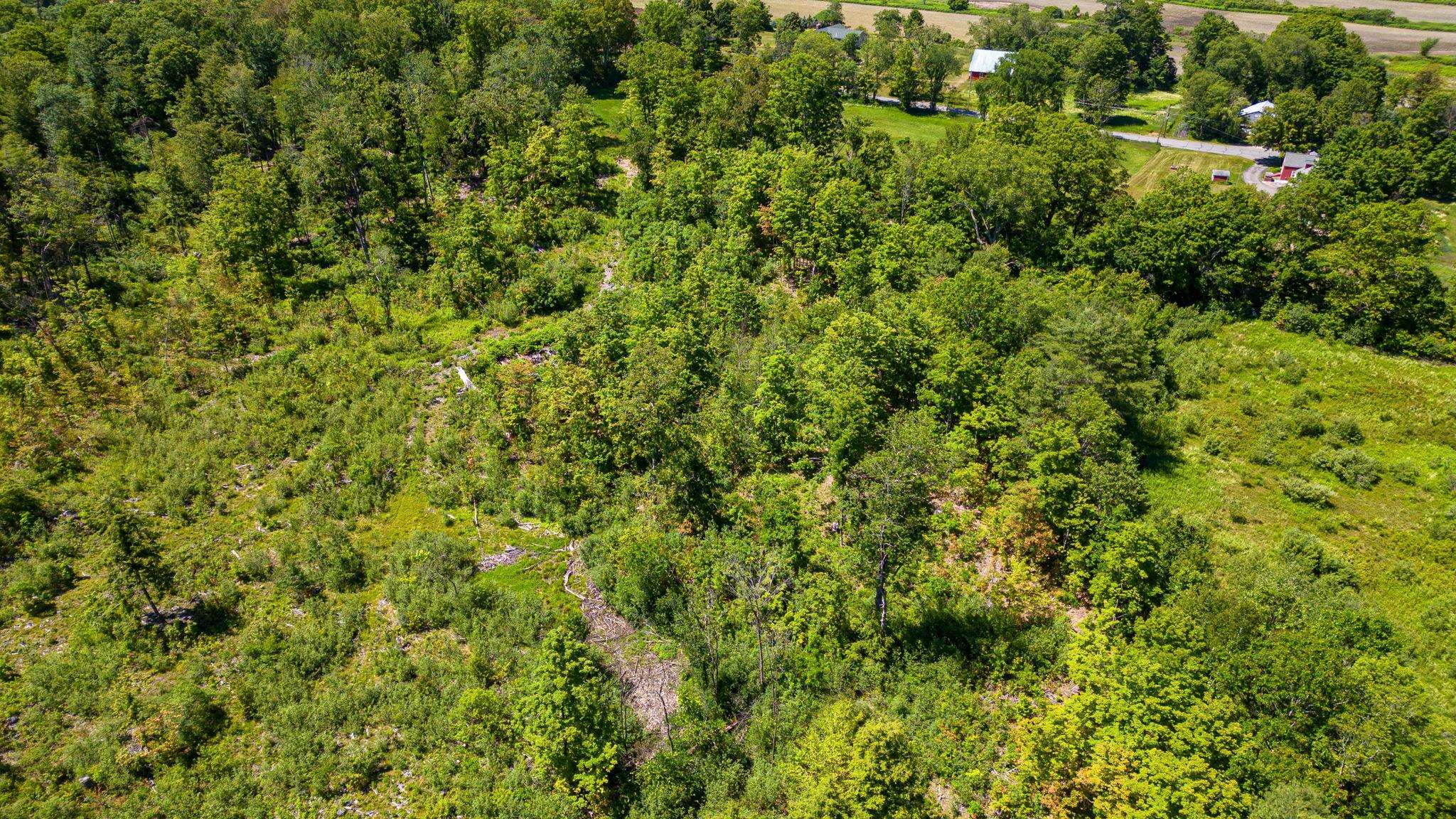 Homes for sale in Langdon, NH | 458 Cheshire Turnpike Rd, Langdon, NH 03602 | MLS# 5070648