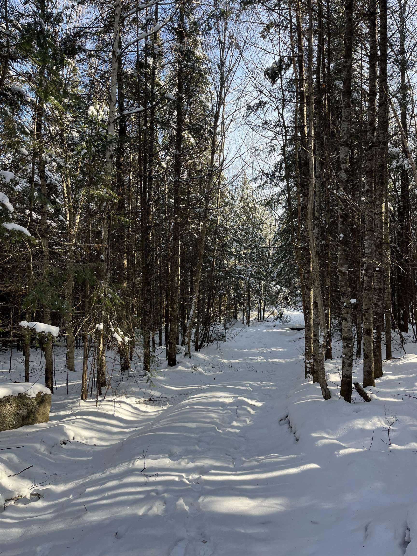 Homes for sale in Glover, VT | 0 Shadow Lake Rd, Glover, VT 05839 | MLS# 5070680