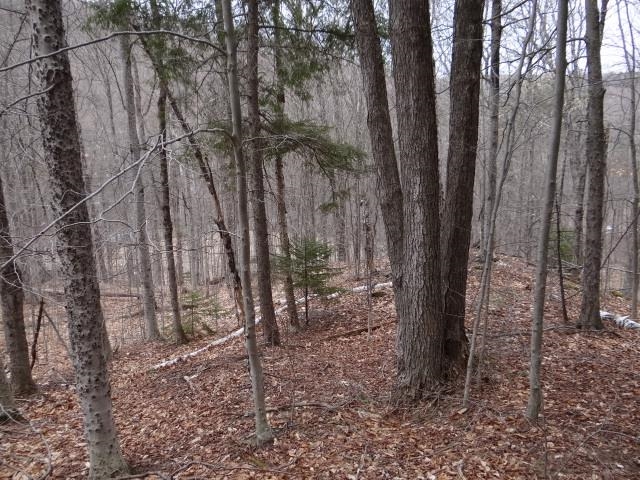 Homes for sale in Woodstock, VT | 0 South Rd, Woodstock, VT 05071 | MLS# 5070692