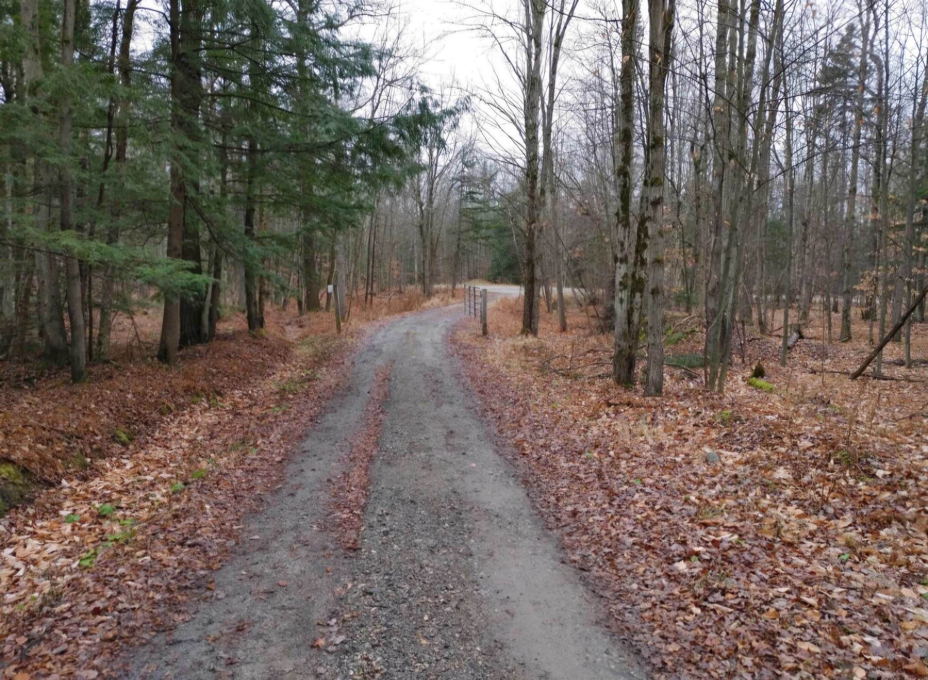 Homes for sale in Morristown, VT | 156 White Birch Rd, Morristown, VT 05661 | MLS# 5070709