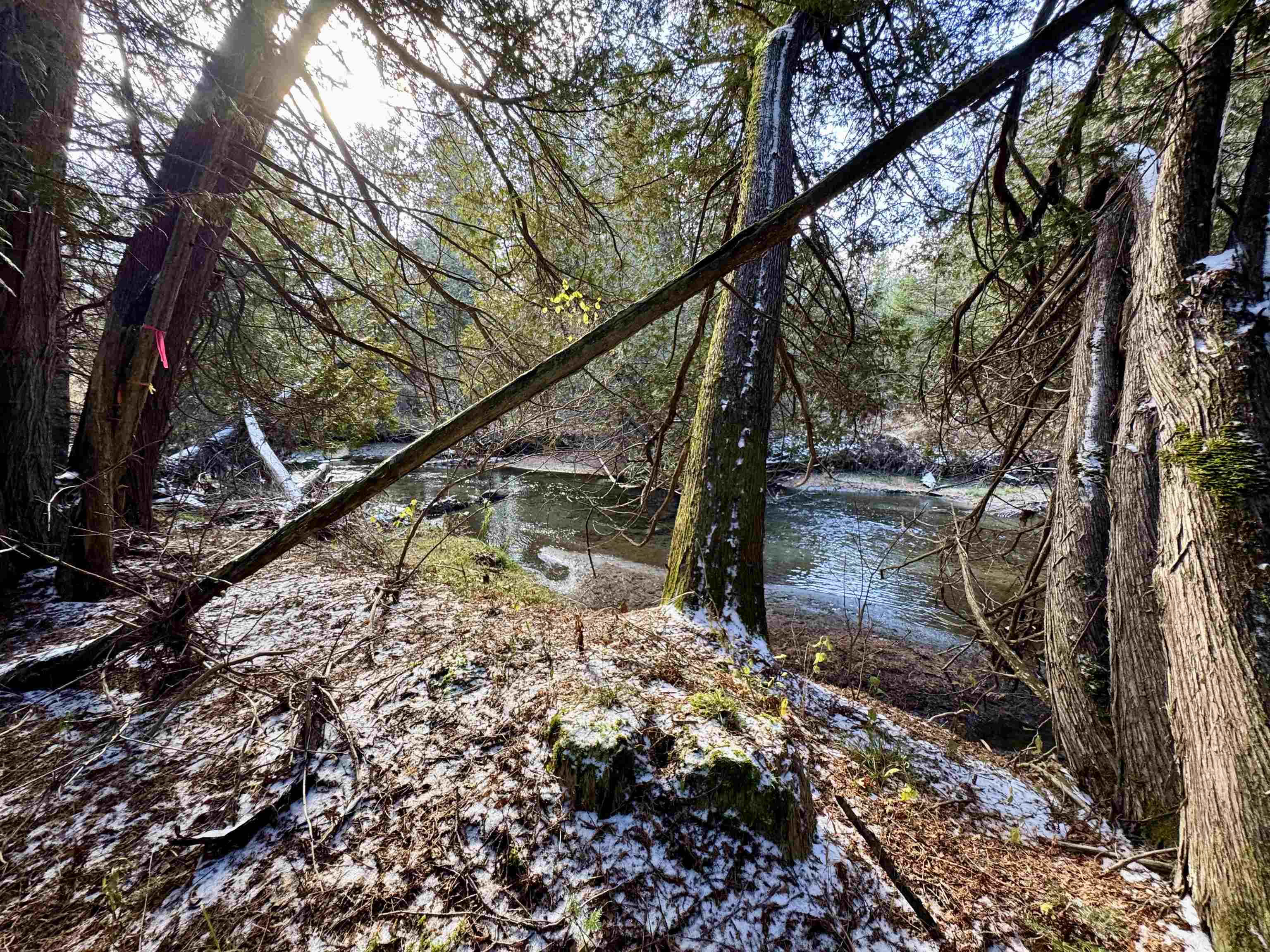 Homes for sale in Barnet, VT | 663 Ferguson Rd, Barnet, VT 05821 | MLS# 5070723