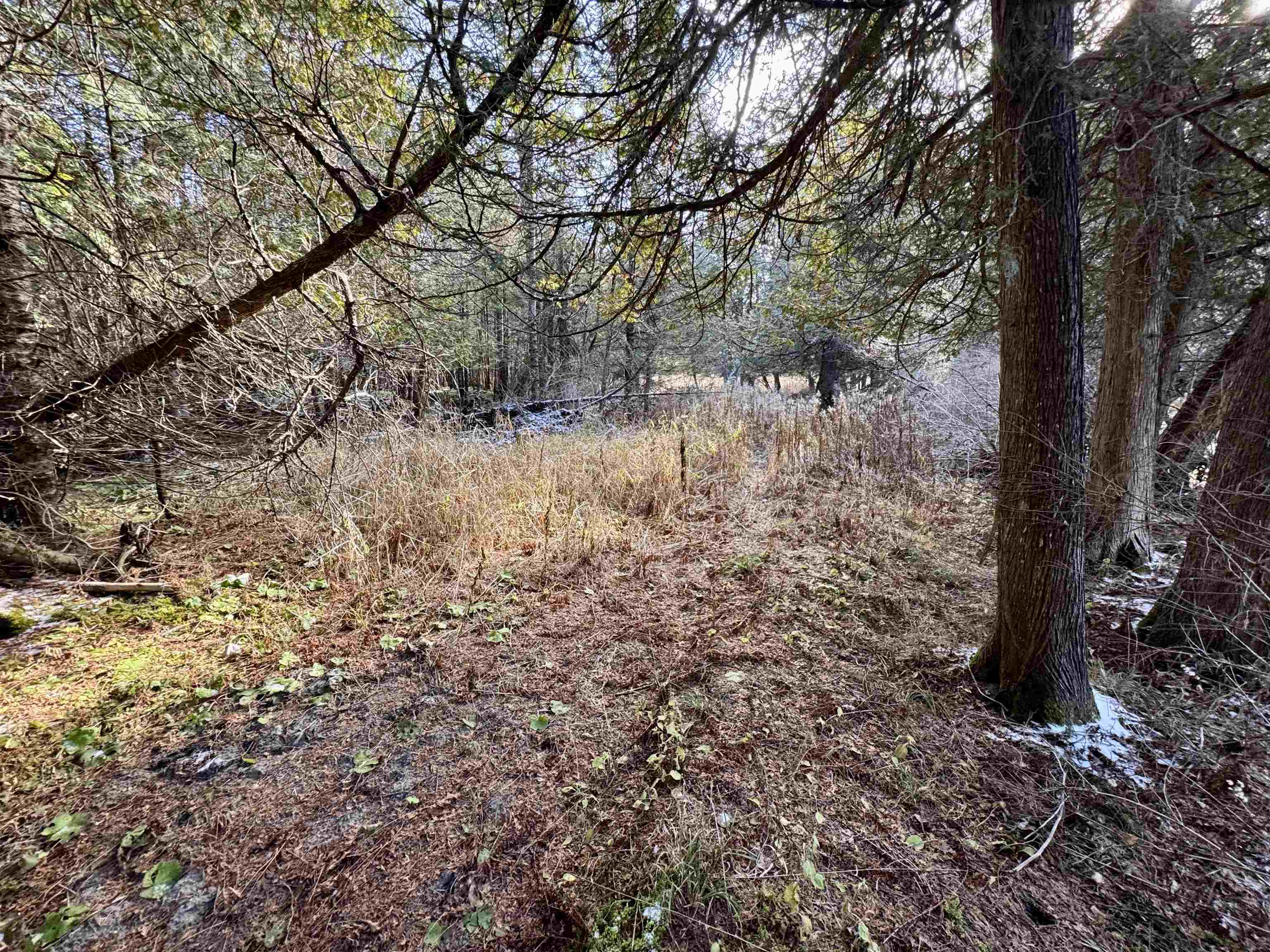 Homes for sale in Barnet, VT | 663 Ferguson Rd, Barnet, VT 05821 | MLS# 5070723