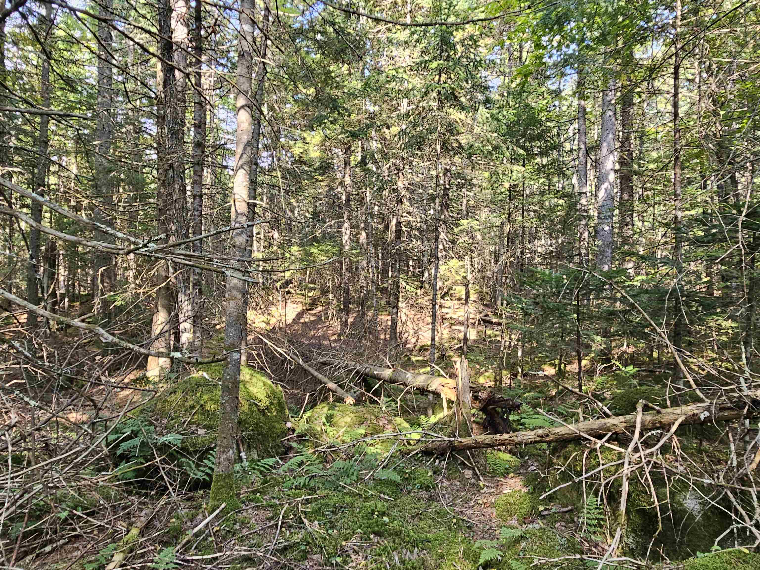 Homes for sale in Franconia, NH | 1476 Profile Rd, Franconia, NH 03580 | MLS# 5070724