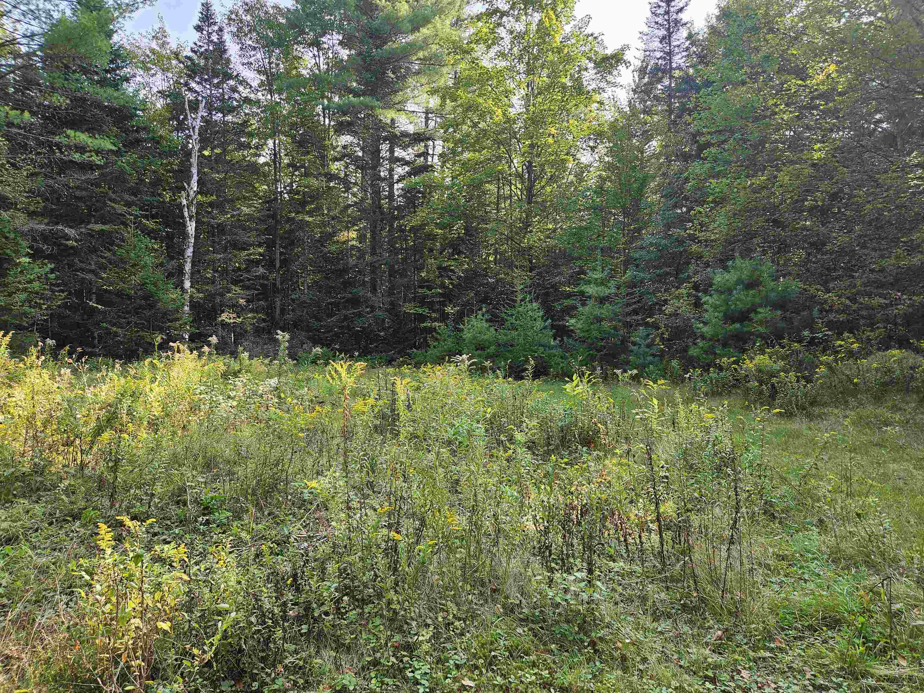 Homes for sale in Franconia, NH | 1476 Profile Rd, Franconia, NH 03580 | MLS# 5070724