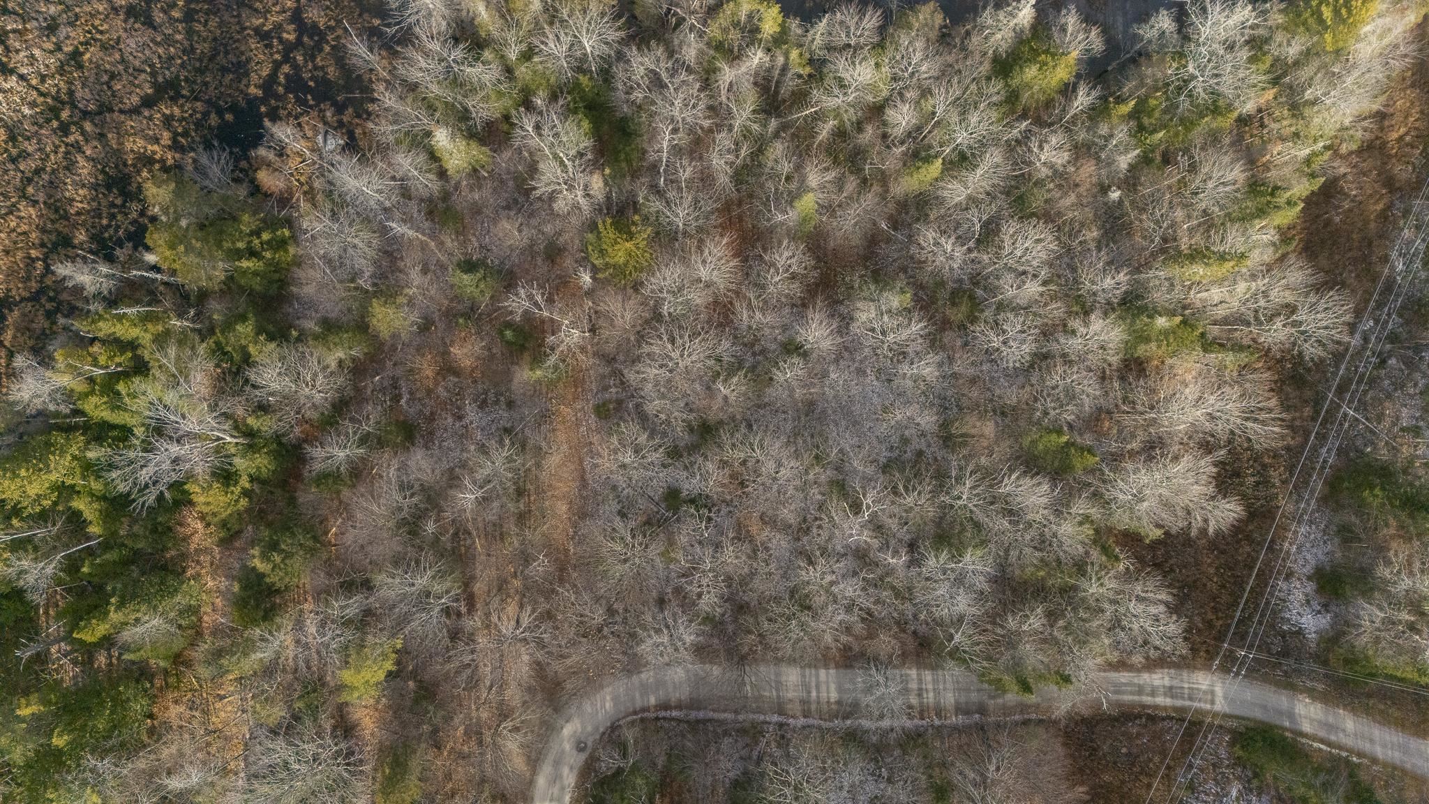 Homes for sale in Sunapee, NH | Lot 39 Sunny Ln, Sunapee, NH 03782 | MLS# 5070749