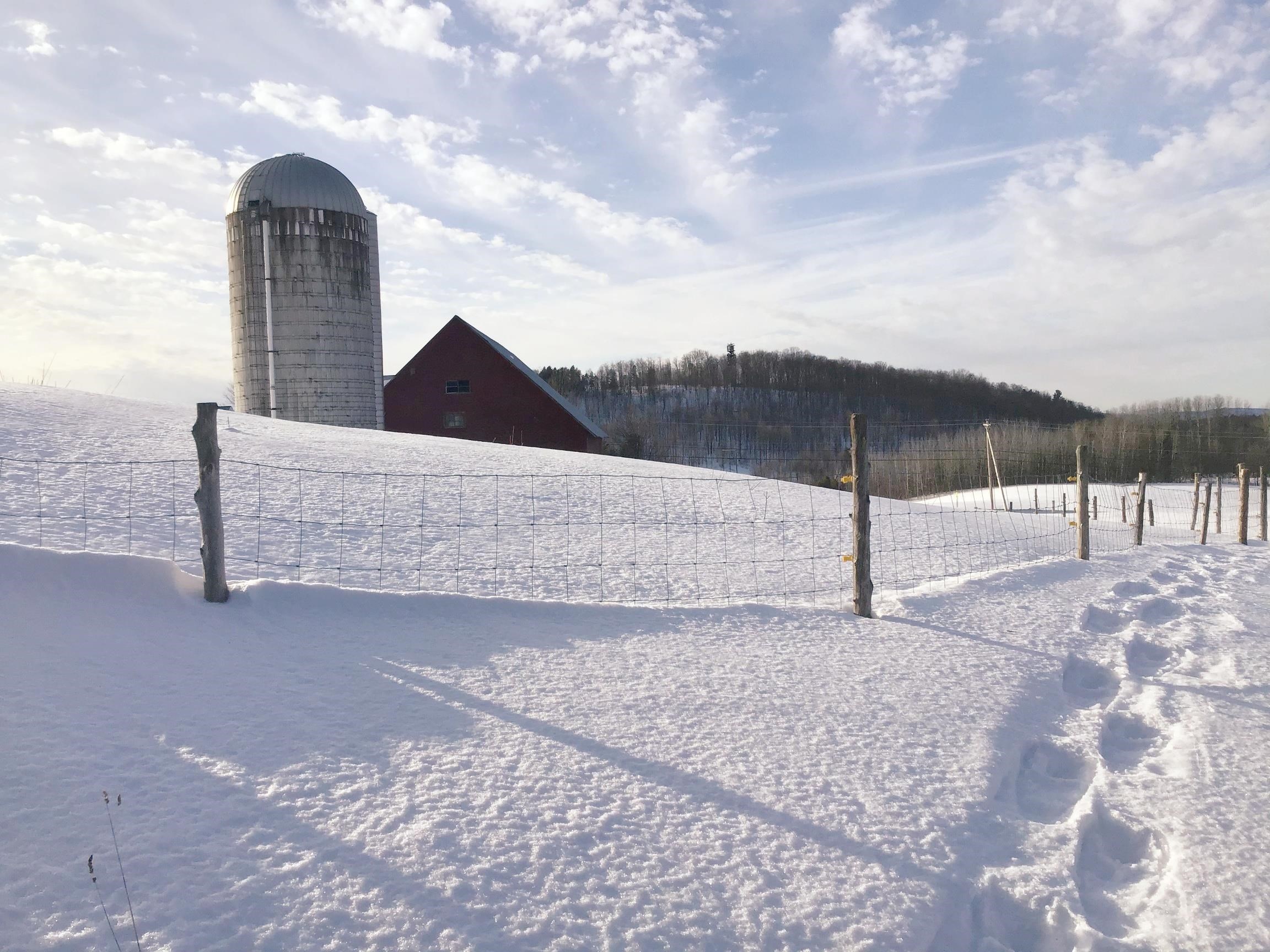 Homes for sale in Derby, VT | 1035 Us Route 5 Route, Derby, VT 05829 | MLS# 5070753