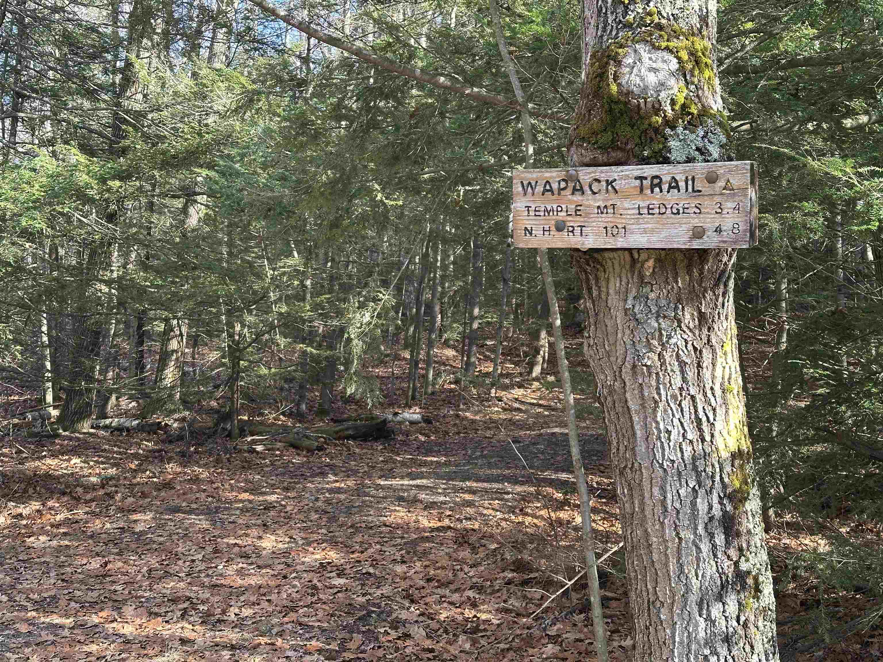 Homes for sale in Sharon, NH | 103 Temple Rd, Sharon, NH 03458 | MLS# 5070762