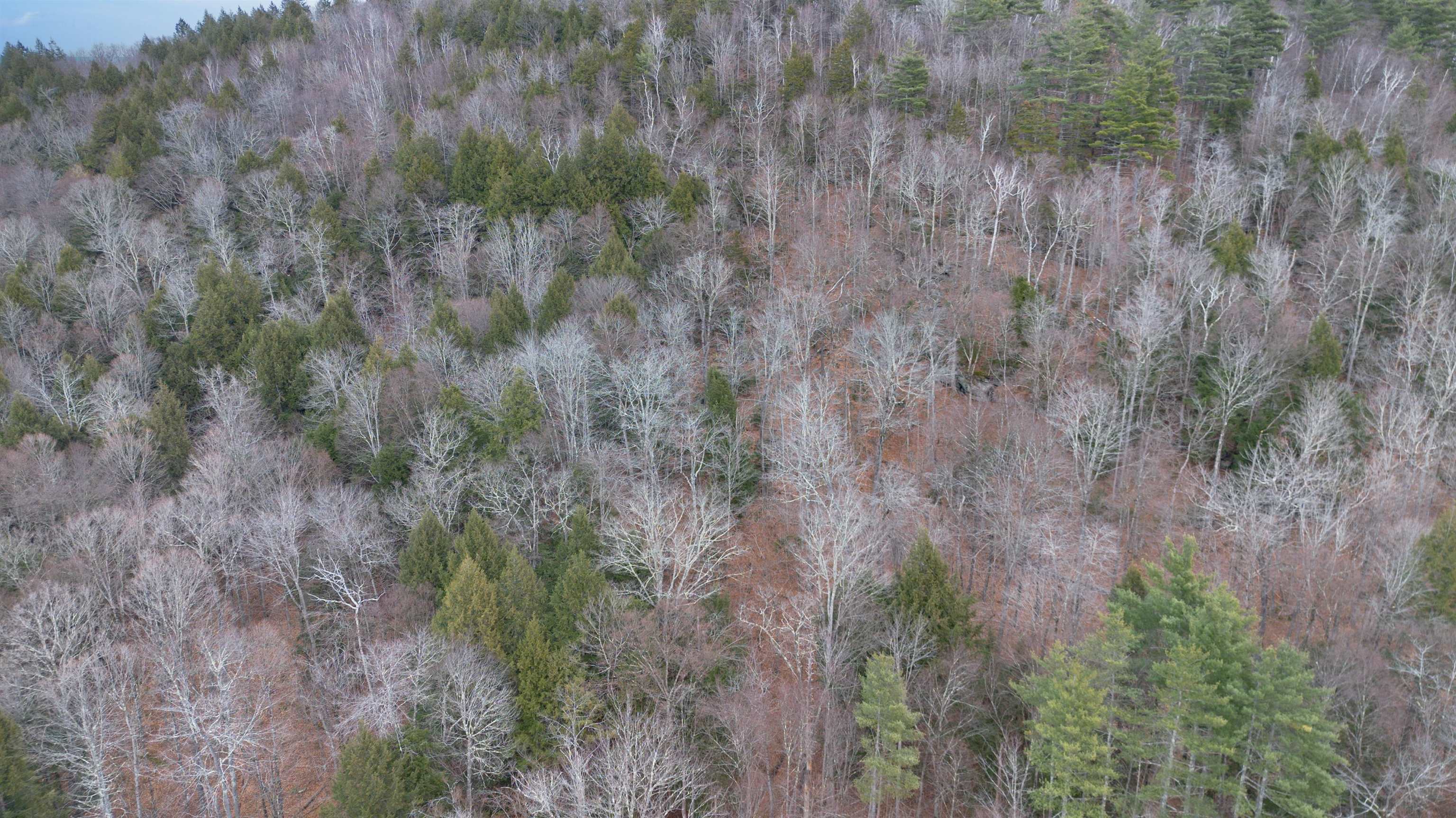 Homes for sale in Jamaica, VT | 00 100 Rte, Jamaica, VT 05343 | MLS# 5070790