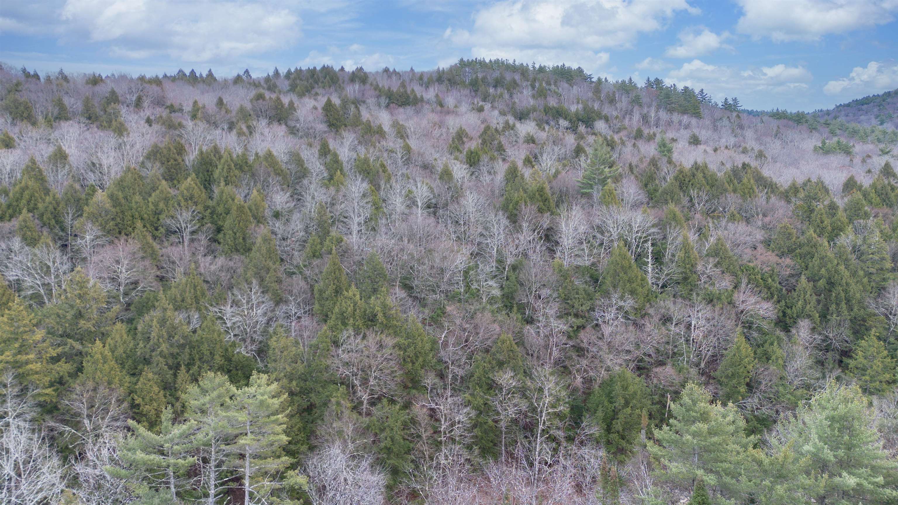 Homes for sale in Jamaica, VT | 00 100 Rte, Jamaica, VT 05343 | MLS# 5070790