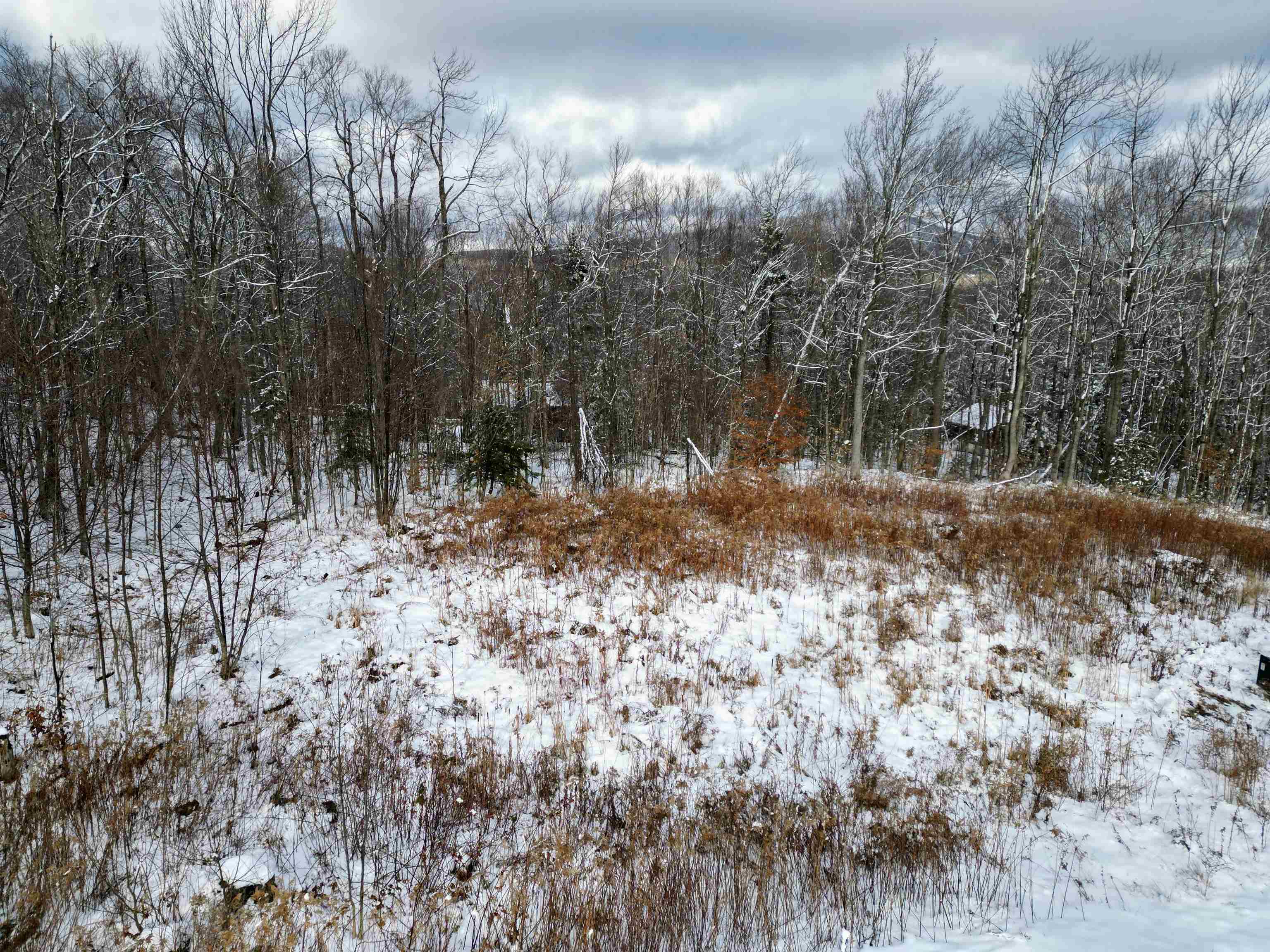 Homes for sale in Winhall, VT | 41 Moose Hollow Rd, Winhall, VT 05340 | MLS# 5070793