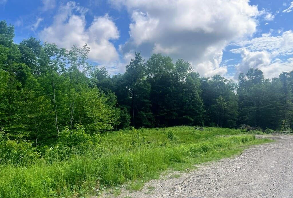 Homes for sale in Winhall, VT | 41 Moose Hollow Rd, Winhall, VT 05340 | MLS# 5070793