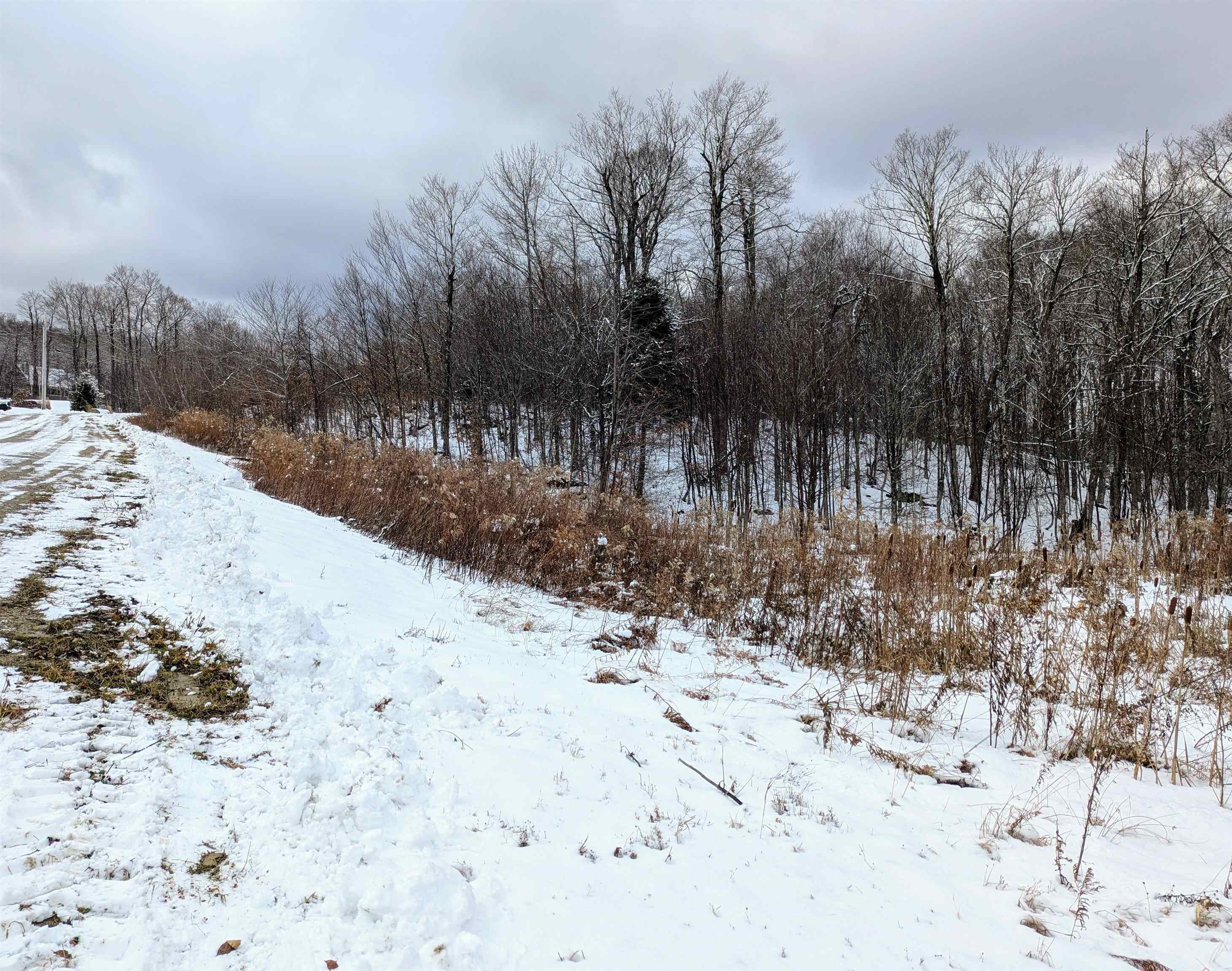 Homes for sale in Winhall, VT | 41 Moose Hollow Rd, Winhall, VT 05340 | MLS# 5070793