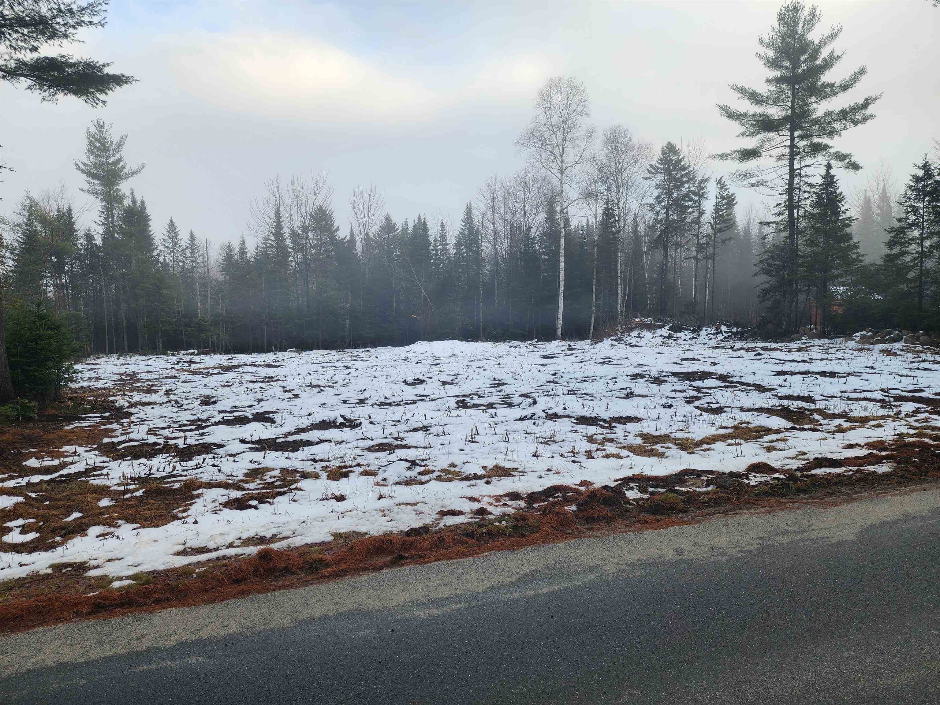 Homes for sale in Carroll, NH | 00 Little River Rd, Carroll, NH 03595 | MLS# 5070822