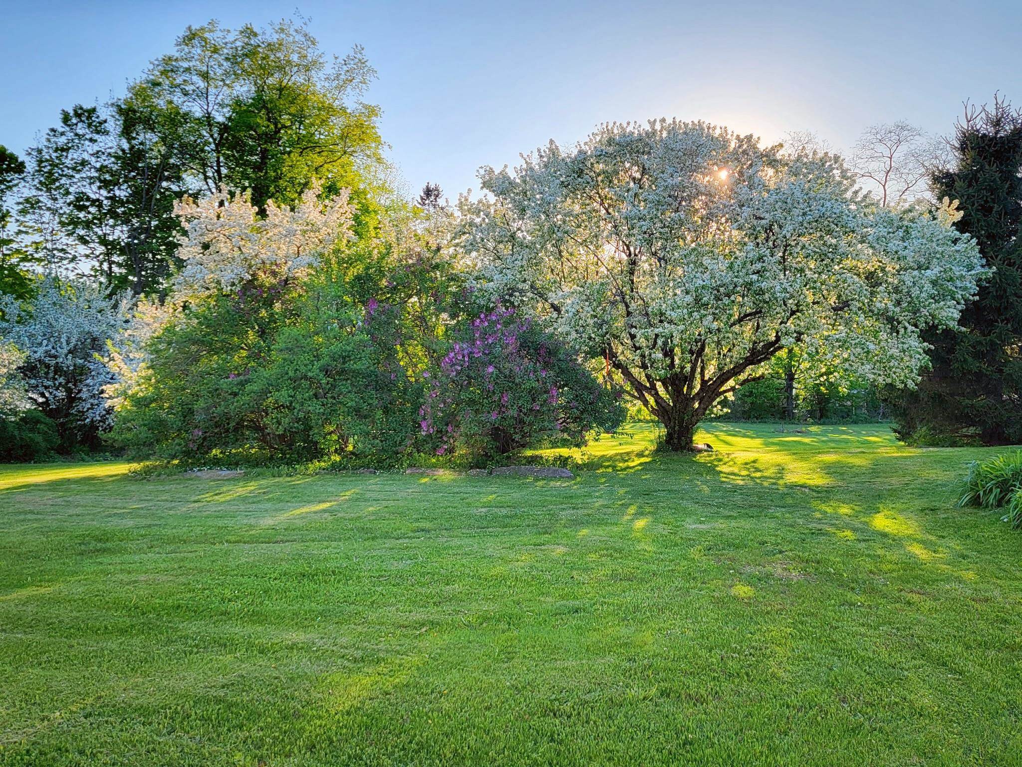 Homes for sale in Acworth, NH | 1076 Nh Route 123A Route, Acworth, NH 03607 | MLS# 5070833