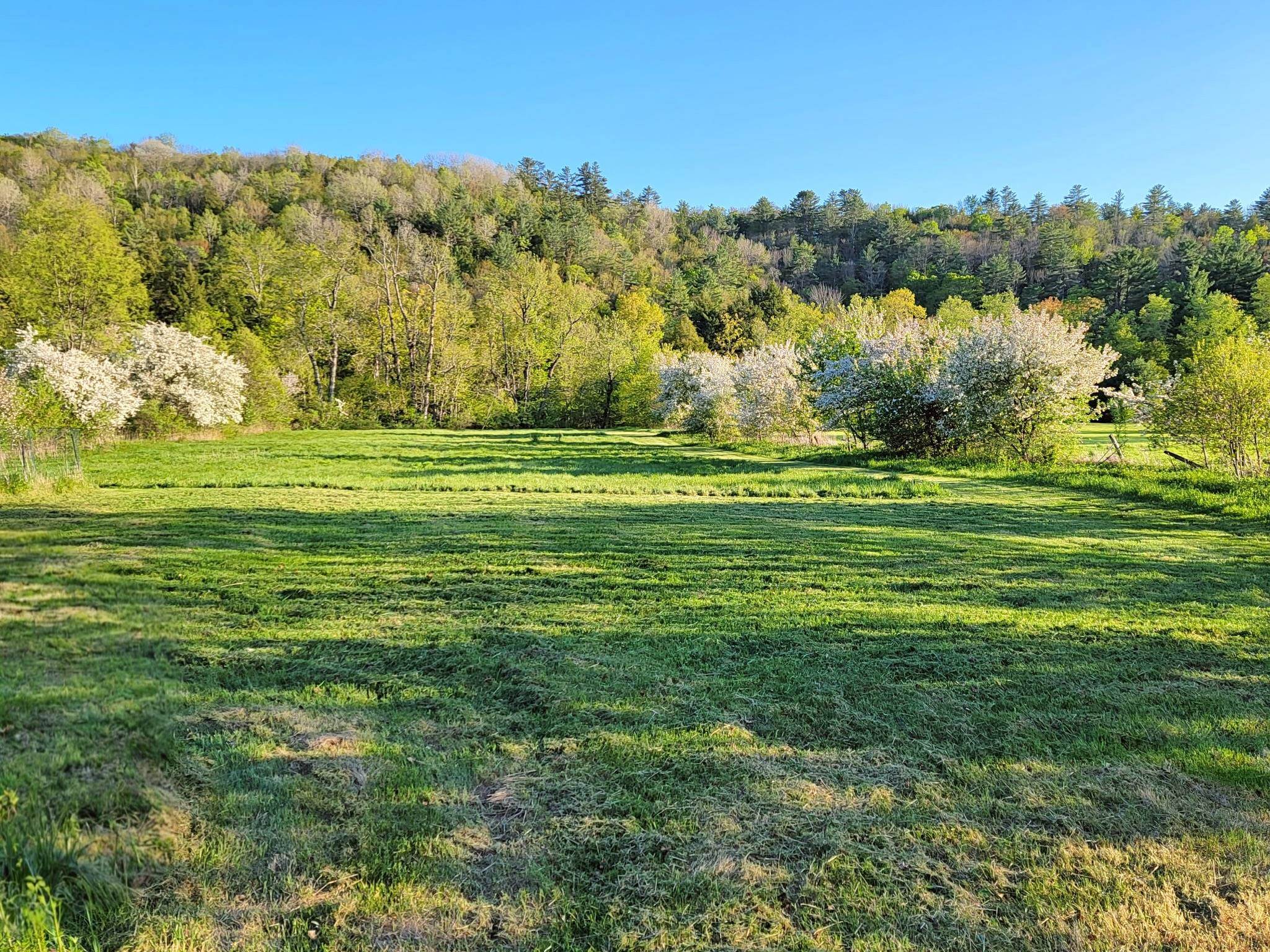 Homes for sale in Acworth, NH | 1076 Nh Route 123A Route, Acworth, NH 03607 | MLS# 5070833