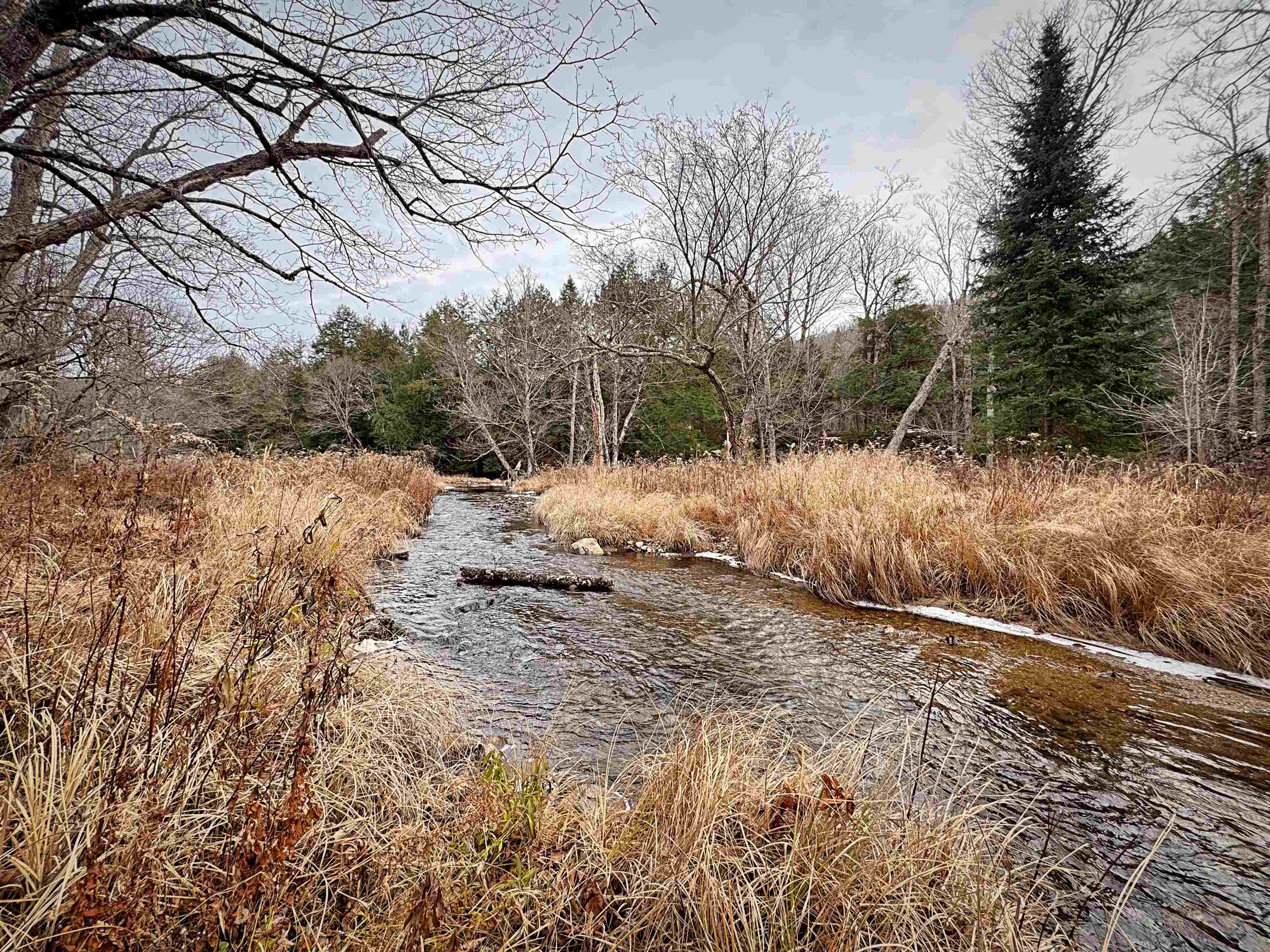 Homes for sale in Acworth, NH | 1076 Nh Route 123A Route, Acworth, NH 03607 | MLS# 5070833