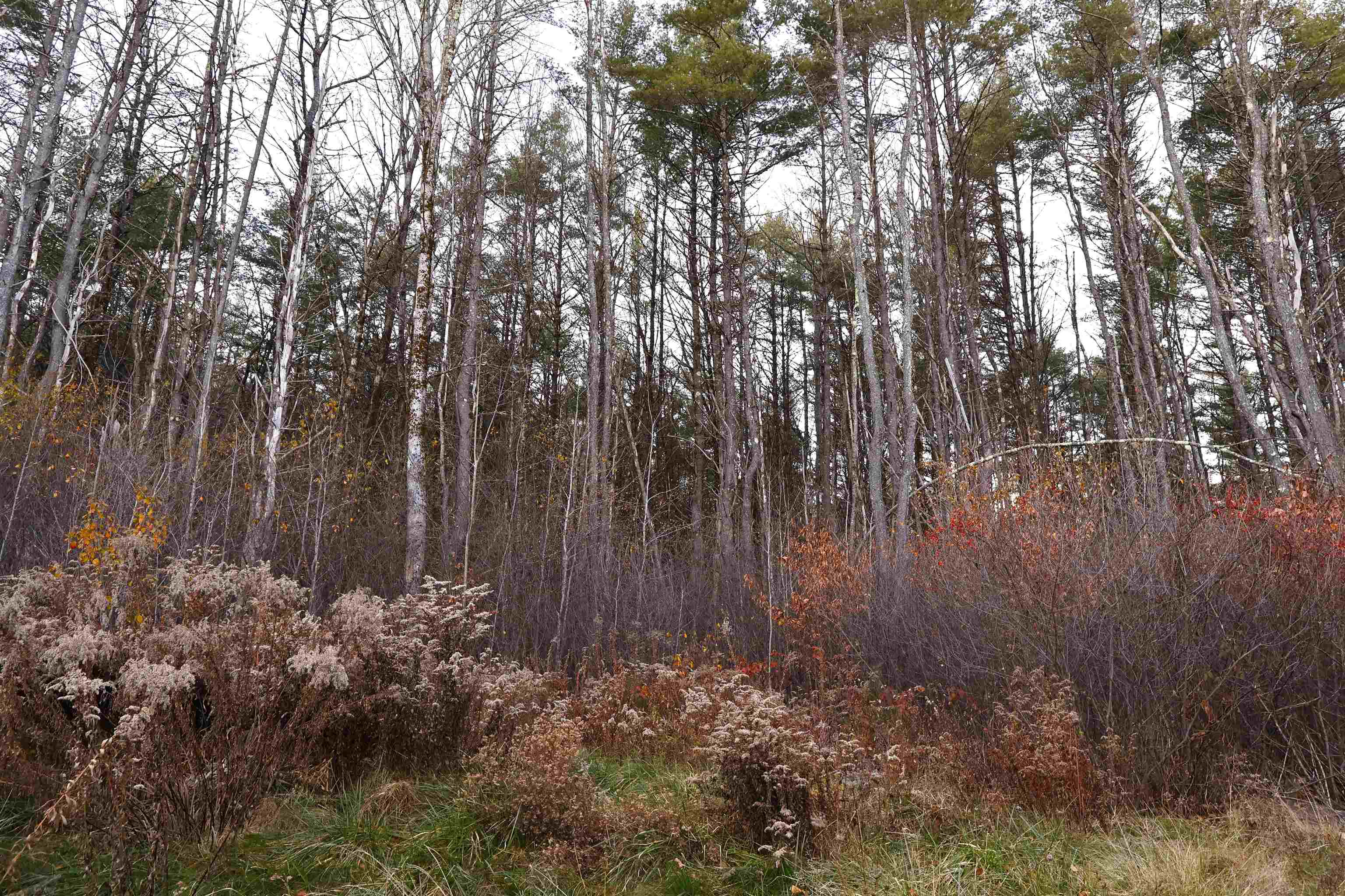 Homes for sale in Norwich, VT | 0 Us 5 South Rte, Norwich, VT 05055 | MLS# 5070859