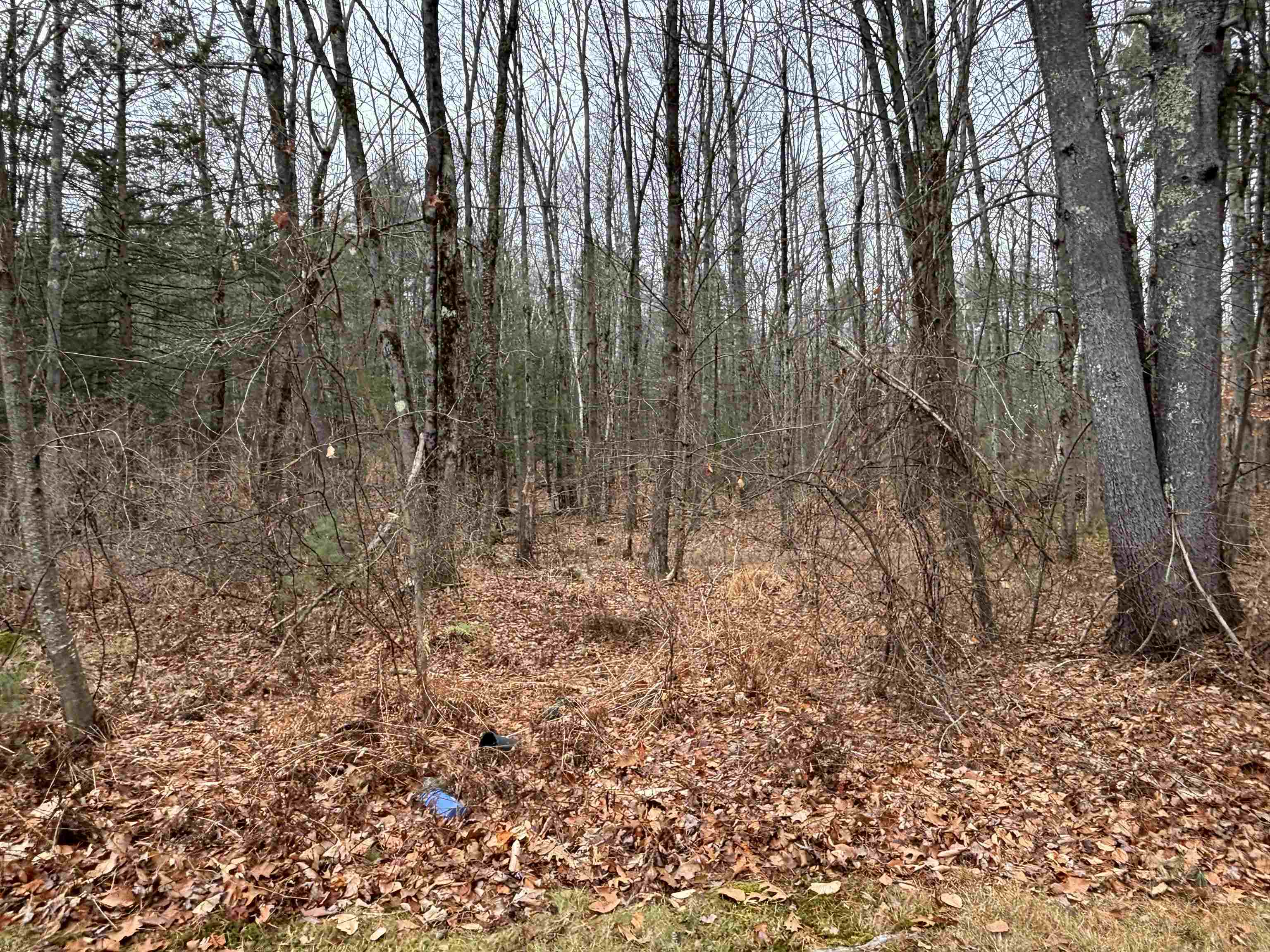 Homes for sale in Goffstown, NH | 501 E Dunbarton Rd, Goffstown, NH 03045 | MLS# 5070924