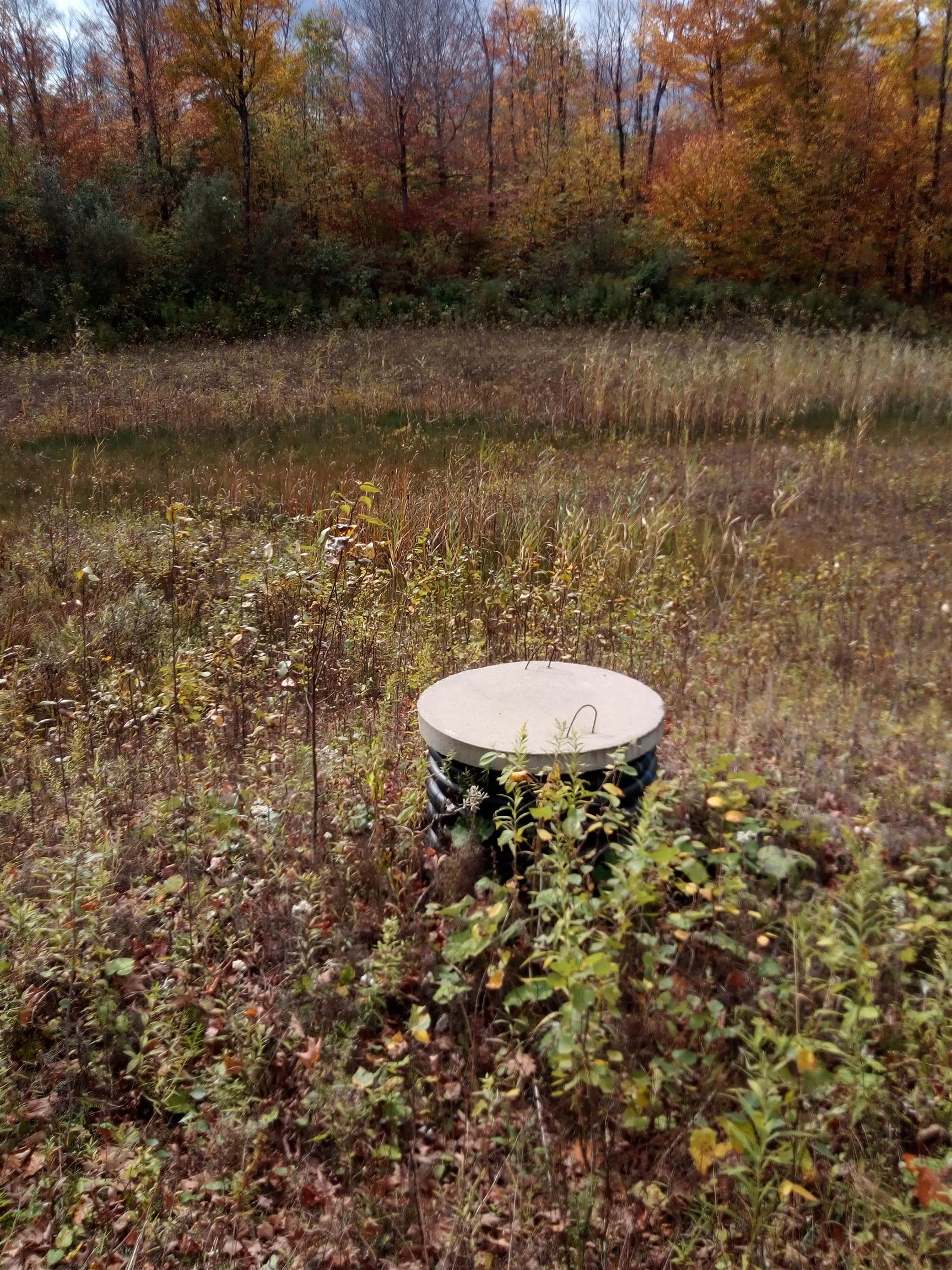 Homes for sale in Morgan, VT | O Toad Pond Rd, Morgan, VT 05853 | MLS# 5070929