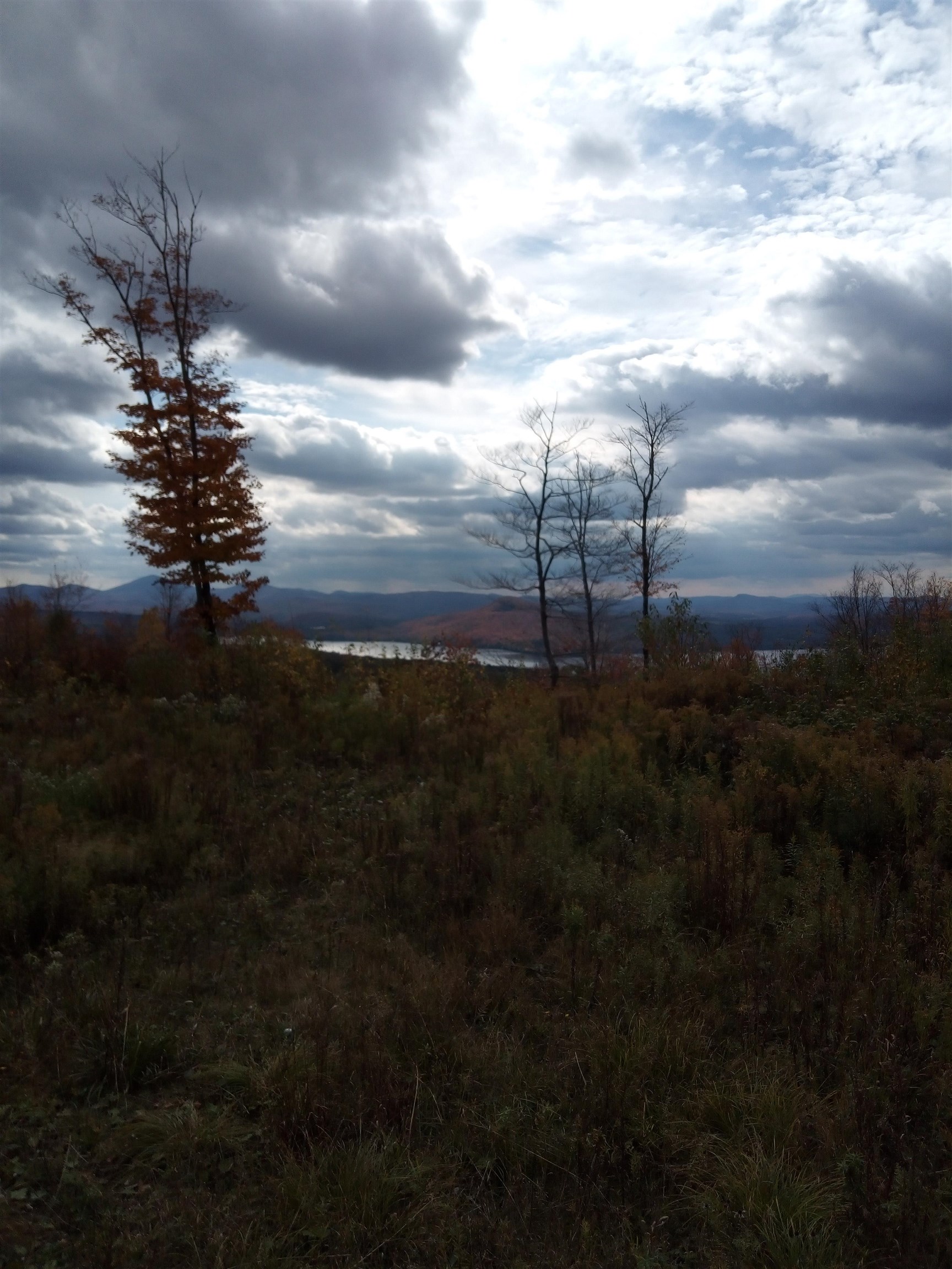 Homes for sale in Morgan, VT | O Toad Pond Rd, Morgan, VT 05853 | MLS# 5070929