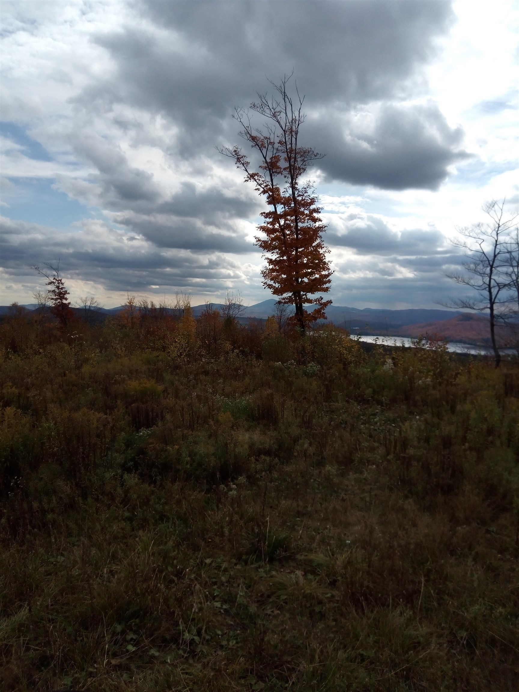 Homes for sale in Morgan, VT | O Toad Pond Rd, Morgan, VT 05853 | MLS# 5070929