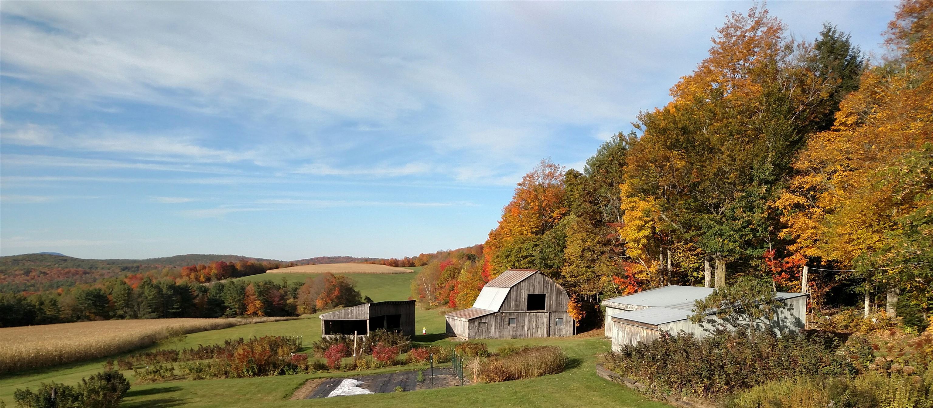 563 Holden Hill Rd, Langdon, NH 03602