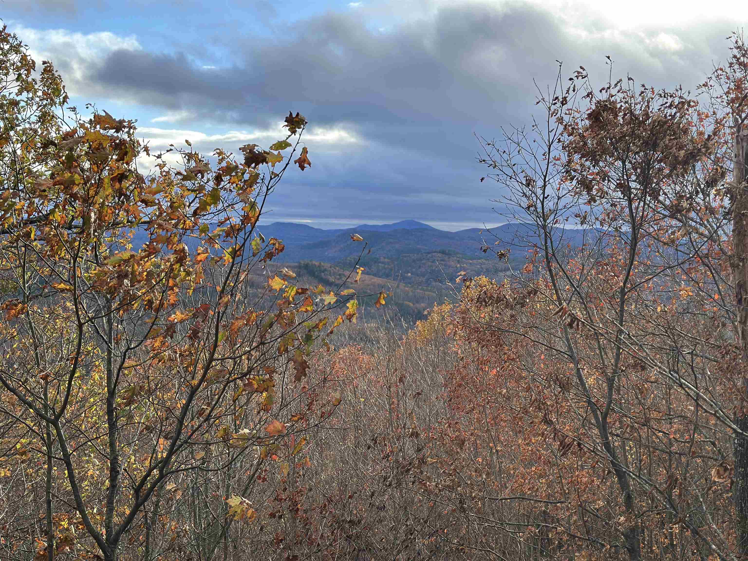 MLS #5070977 image #12