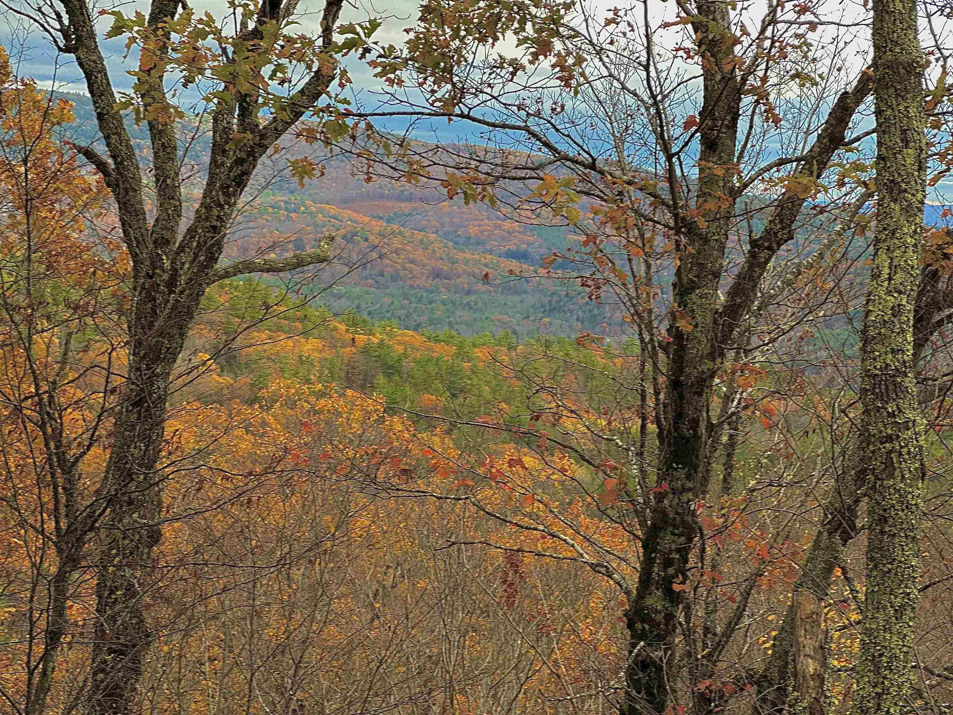 MLS #5070977 image #13