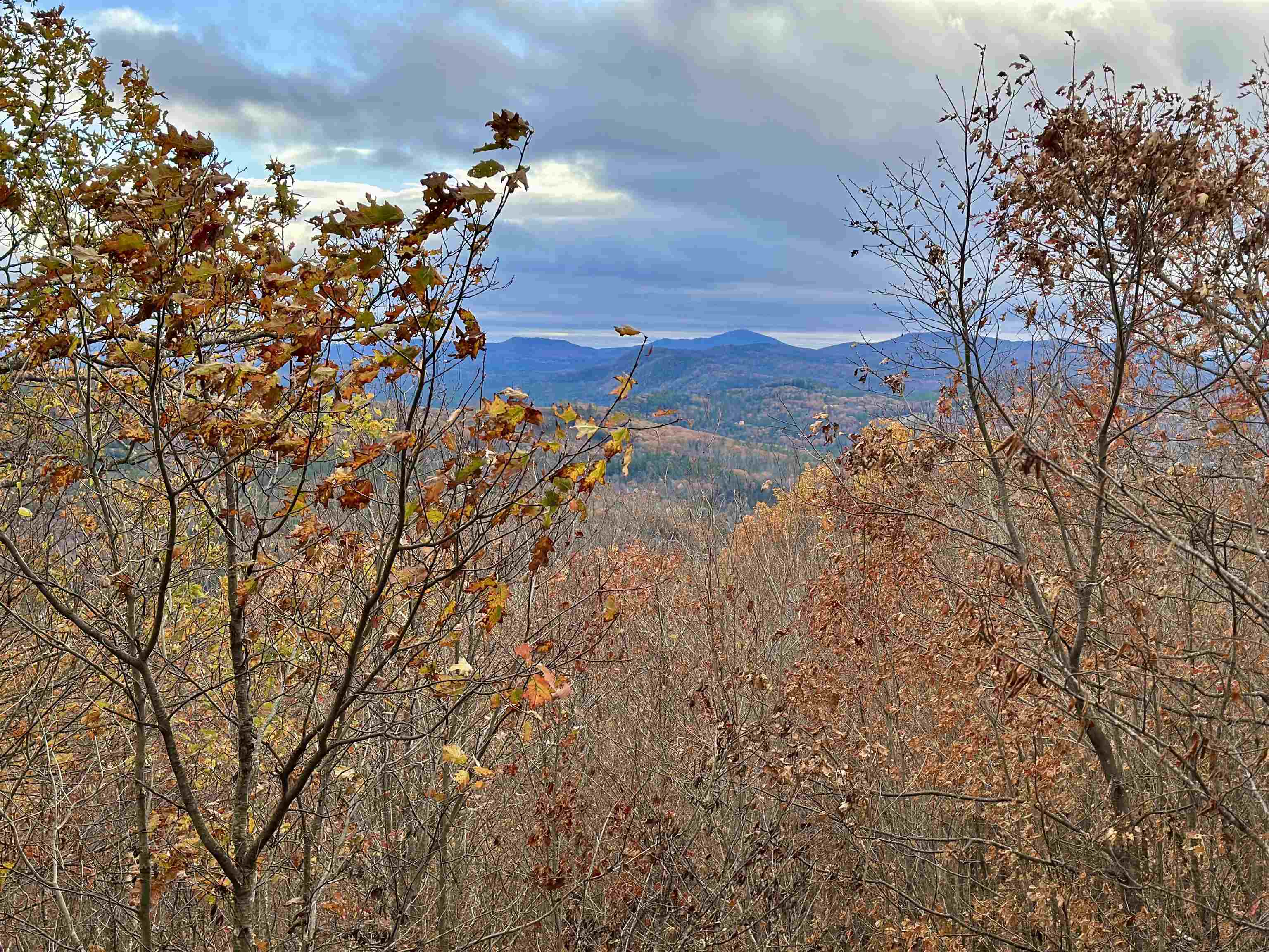 MLS #5070977 image #14