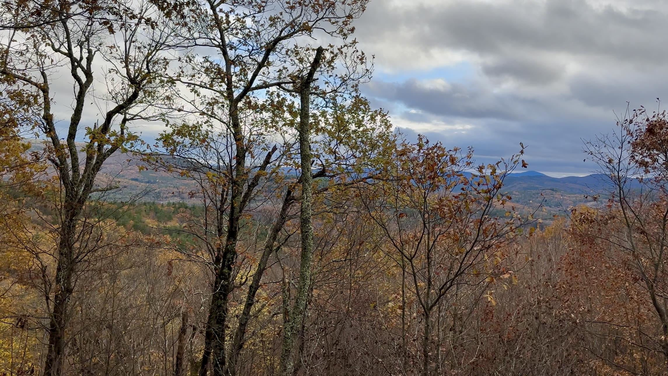 MLS #5070977 image #16