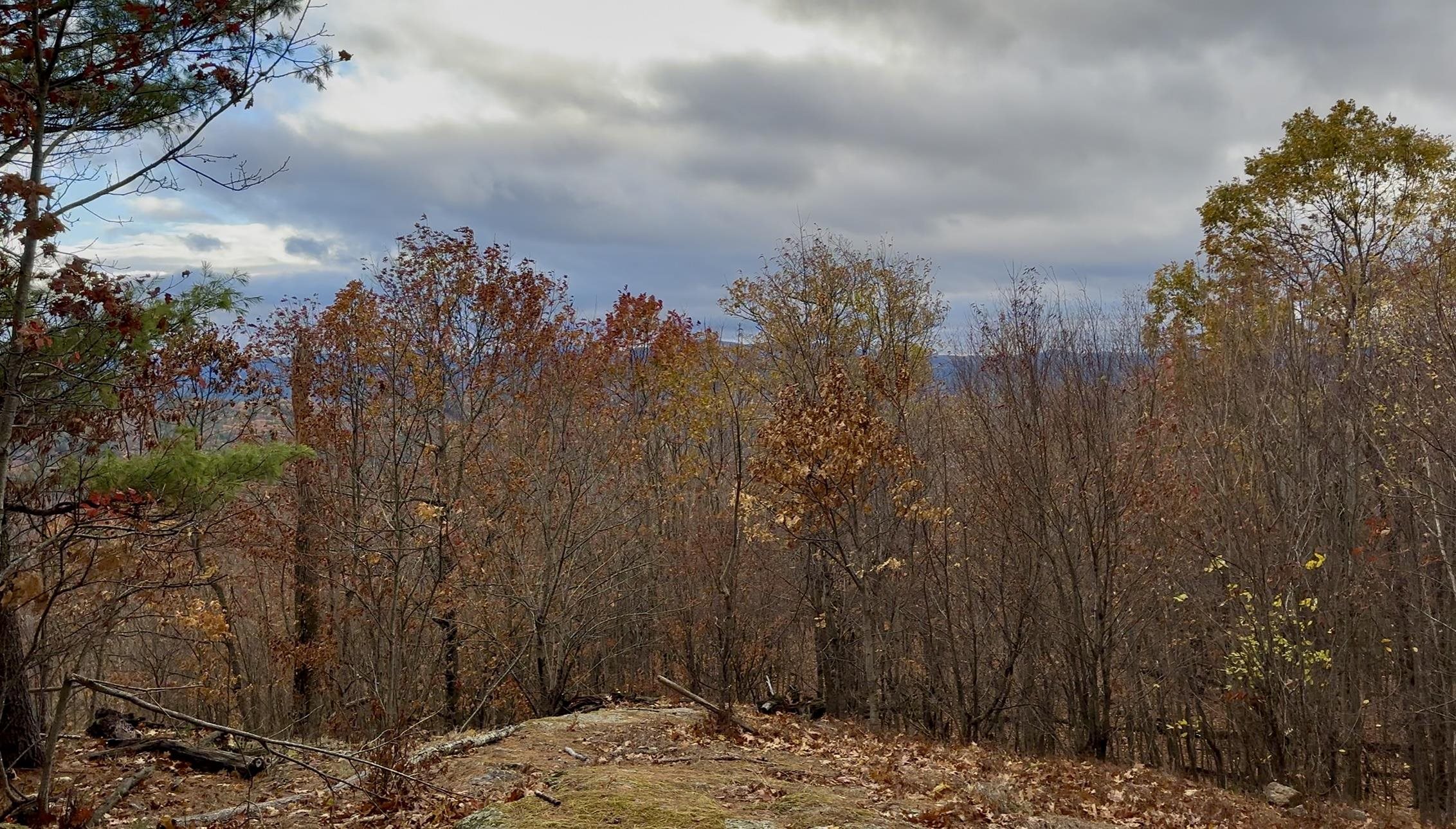 MLS #5070977 image #17