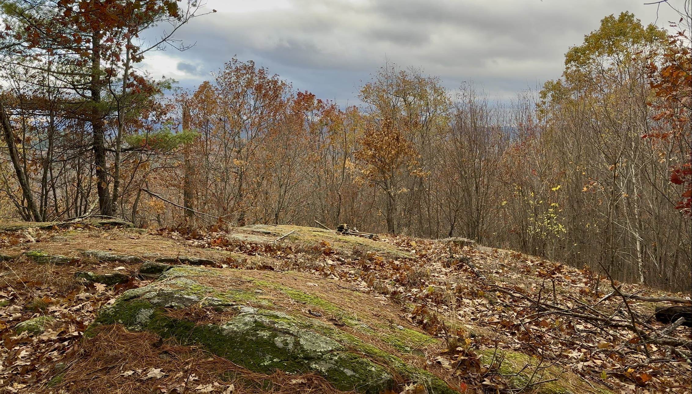 MLS #5070977 image #18