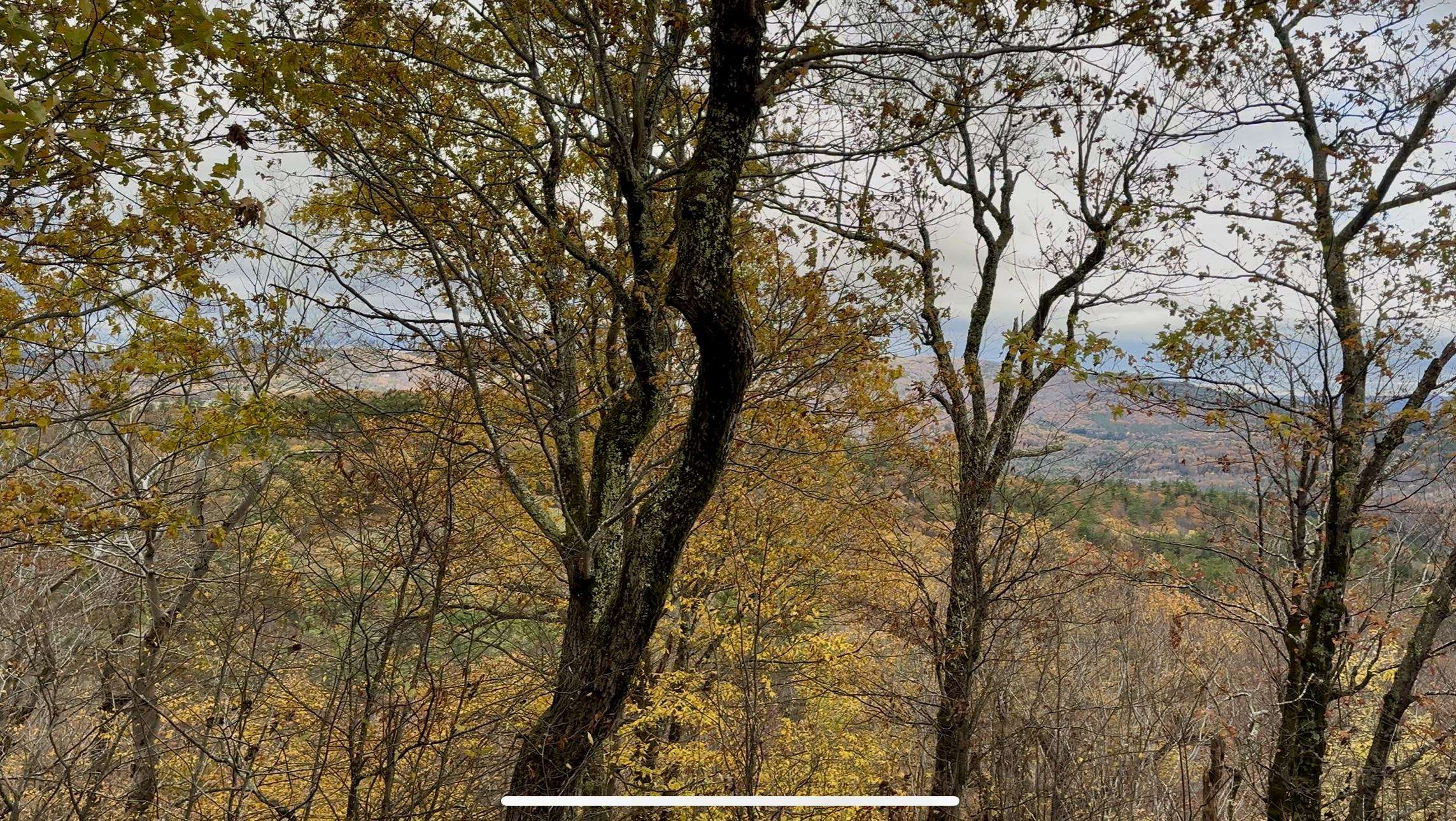 MLS #5070977 image #20