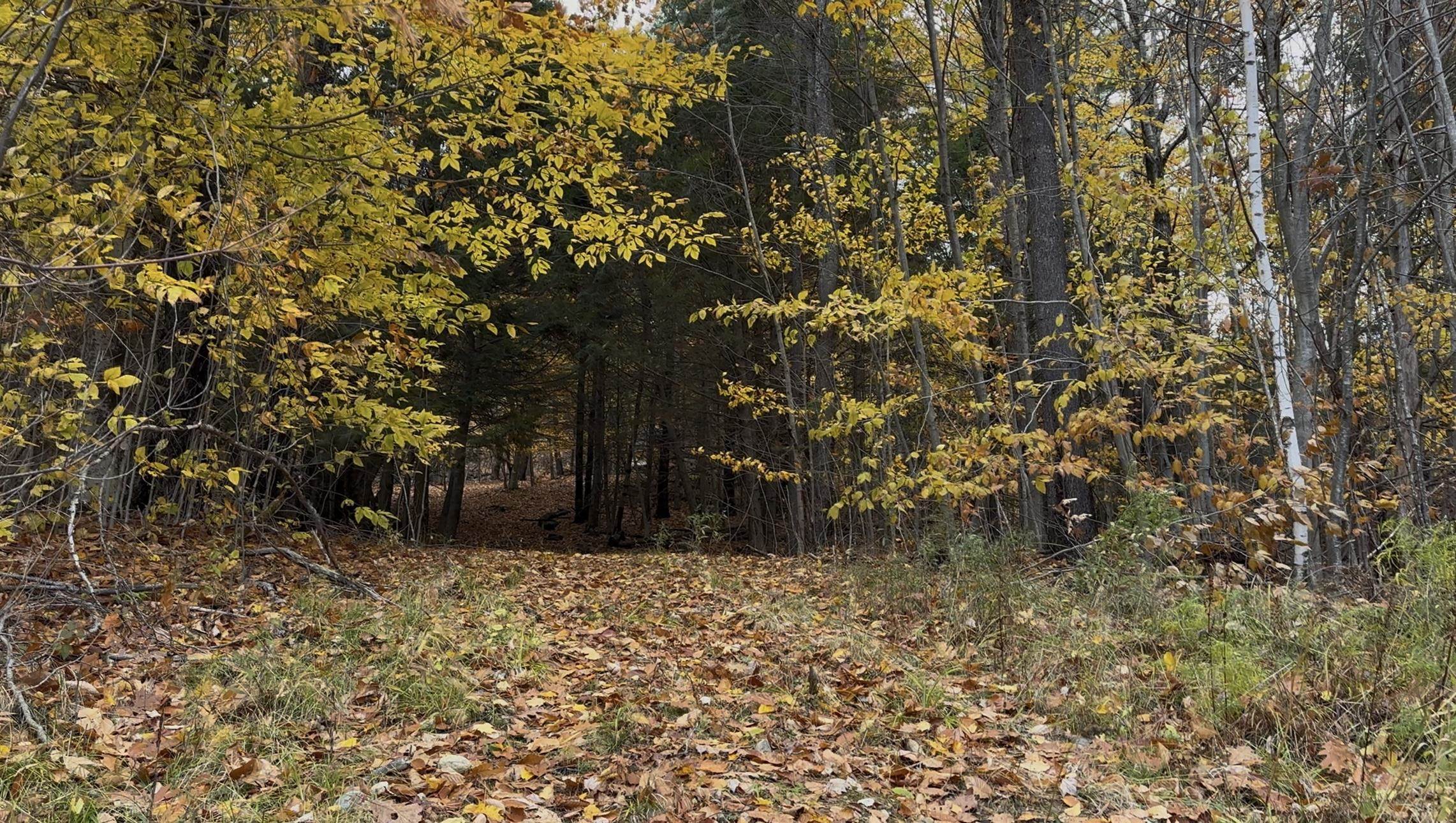 MLS #5070977 image #23